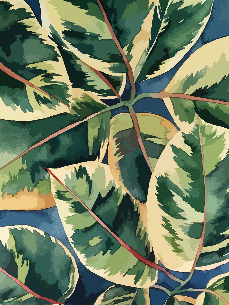 975x1300 Poster Ficus Elastica 2