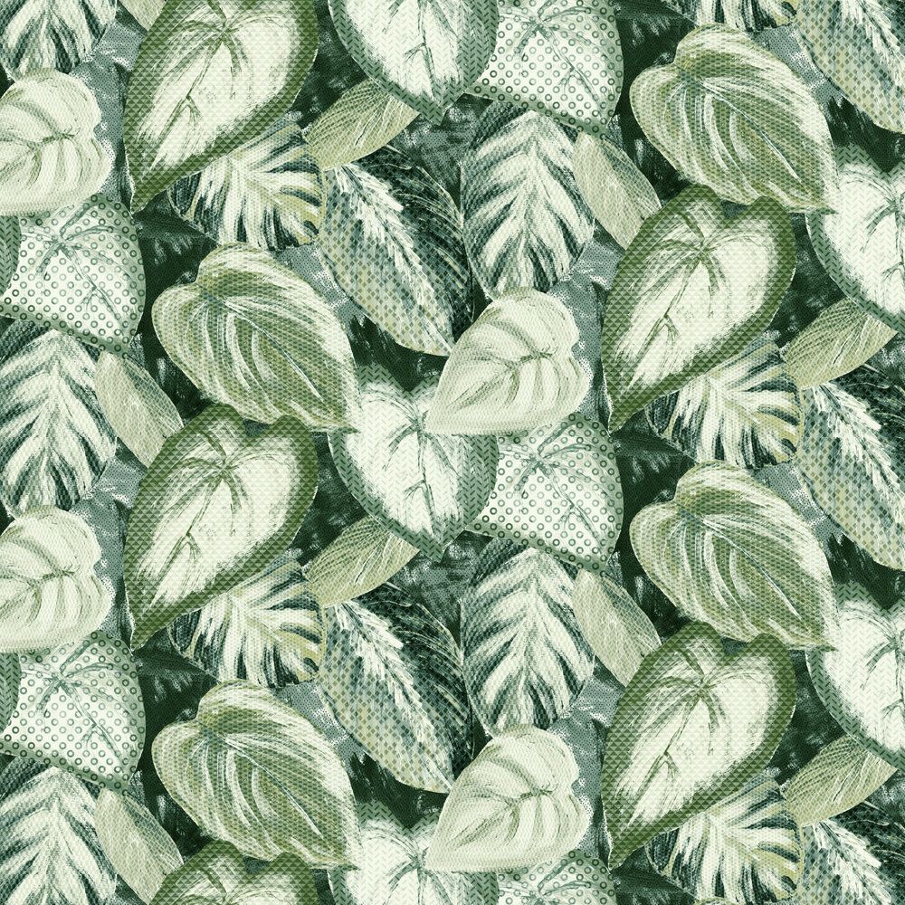 1000x1000 Vita Ficus Wallpaper in Mustard
