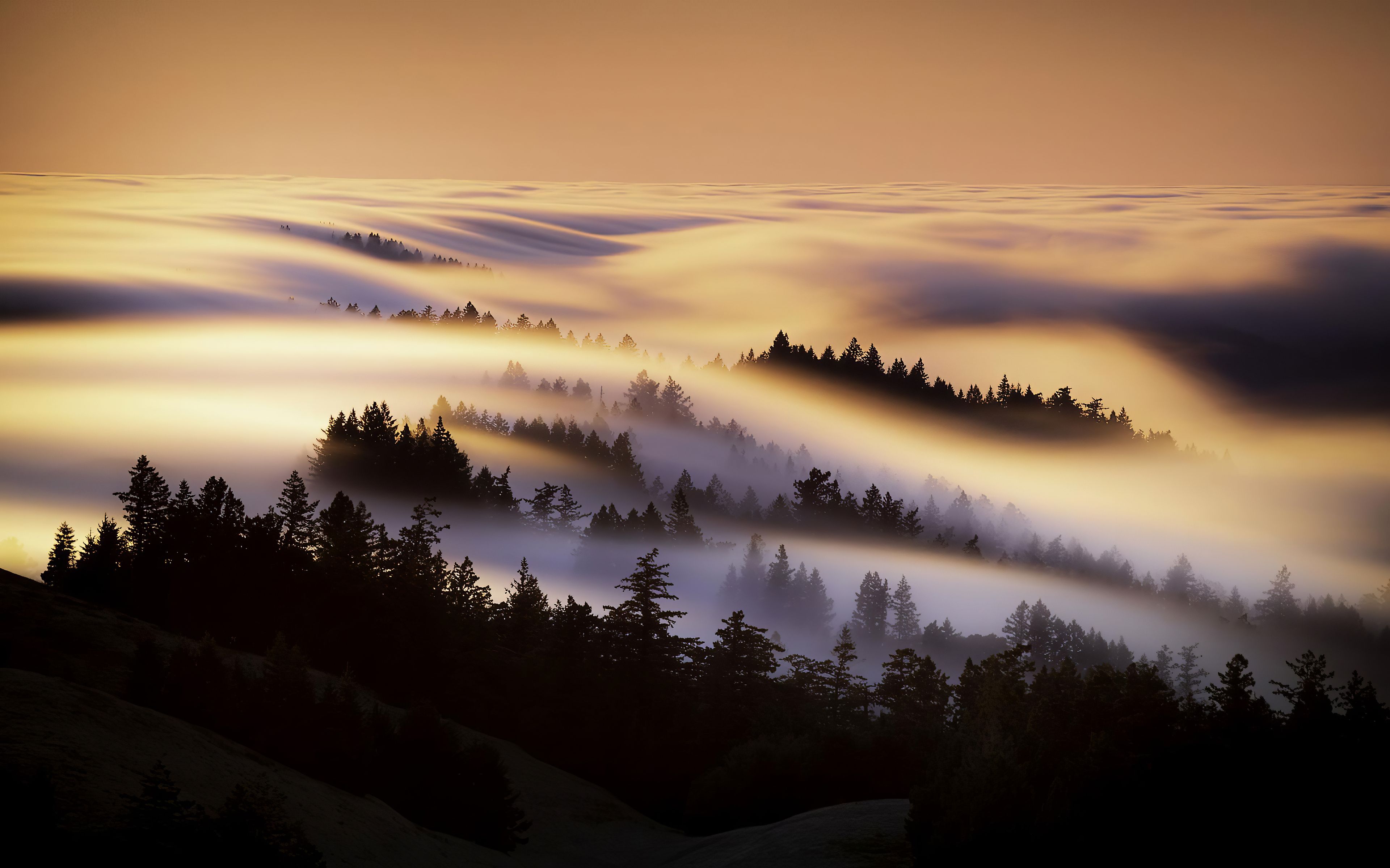 3840x2400 Marin County Mist Morning 4k Wallpaper, HD Nature Wallpaper, 4k Wallpaper, Image, Background, Photos and Picture