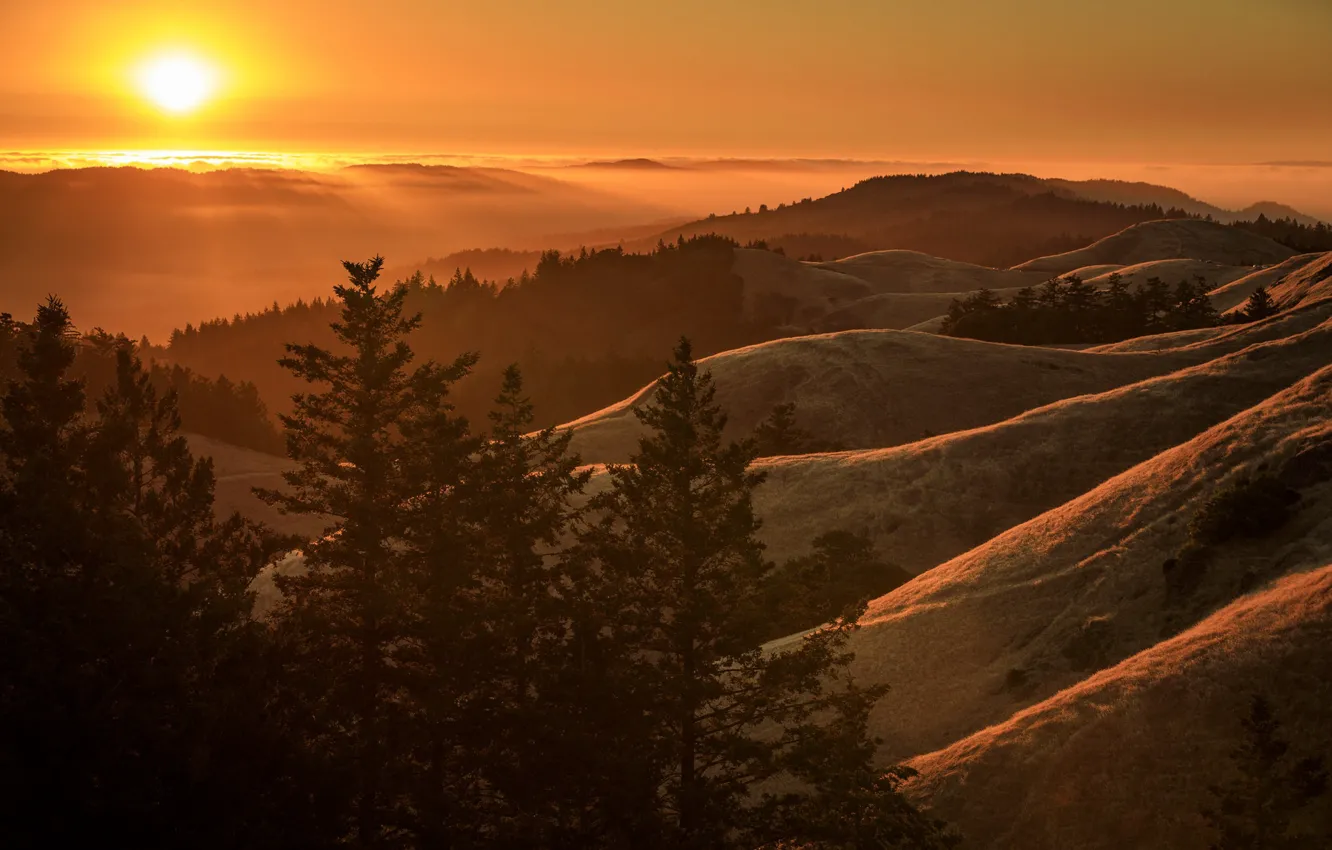 1332x850 Free sunset, nature 2K wallpaper for desktop and phone