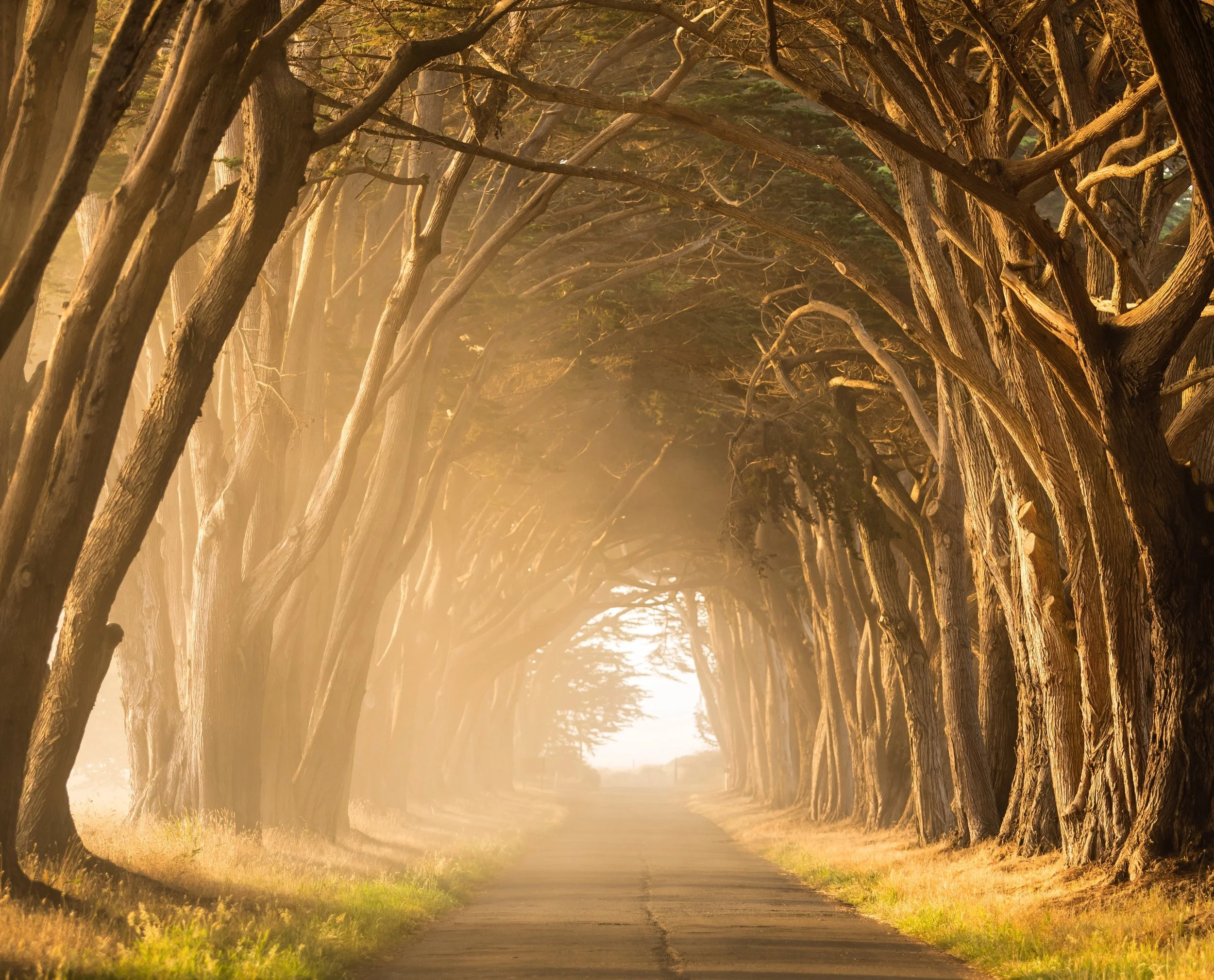 2500x2019 Natural Beauty: Some Favorite Photo of Marin County