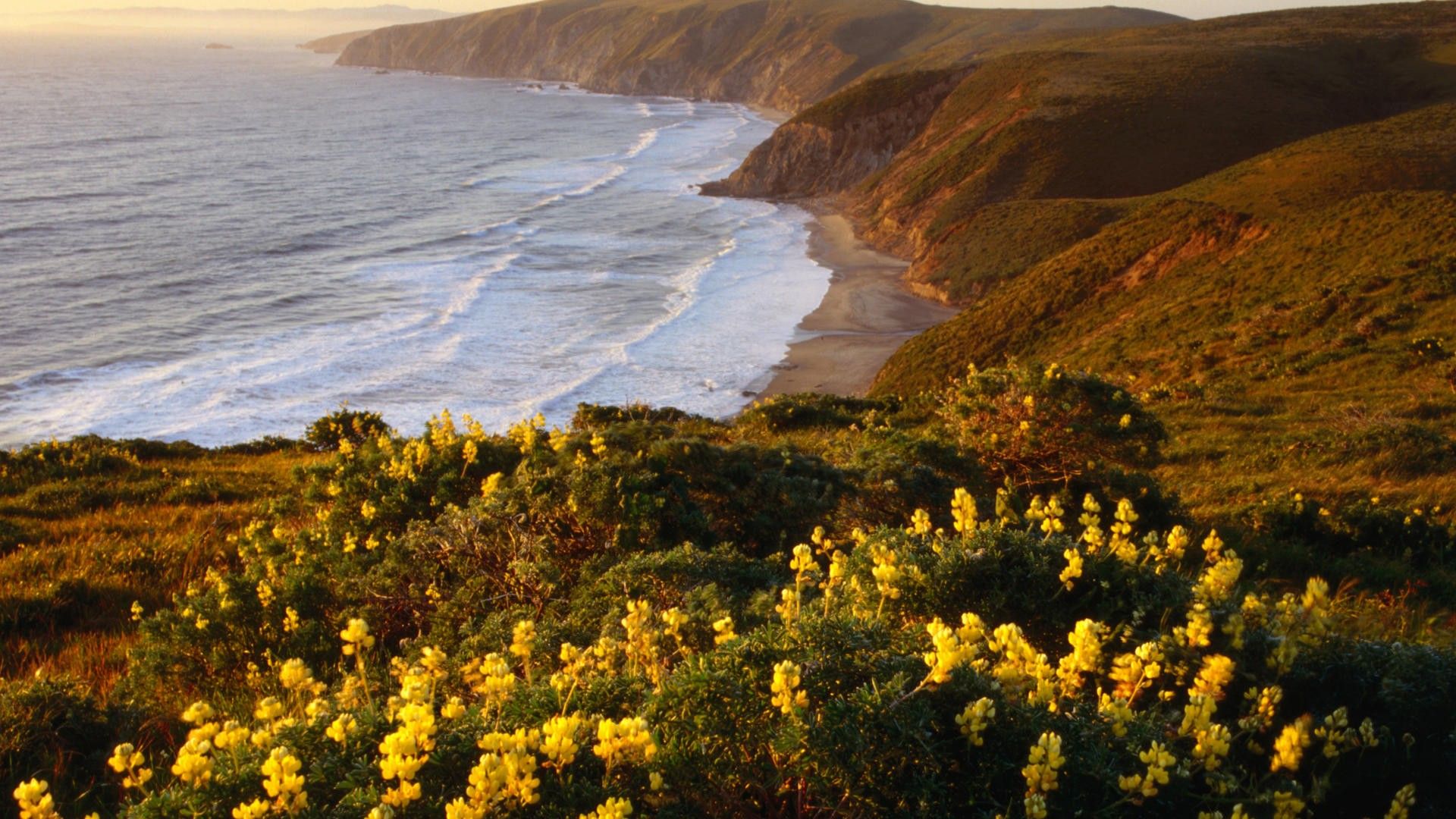 1920x1080 Point Reyes National Seashore Marin County California
