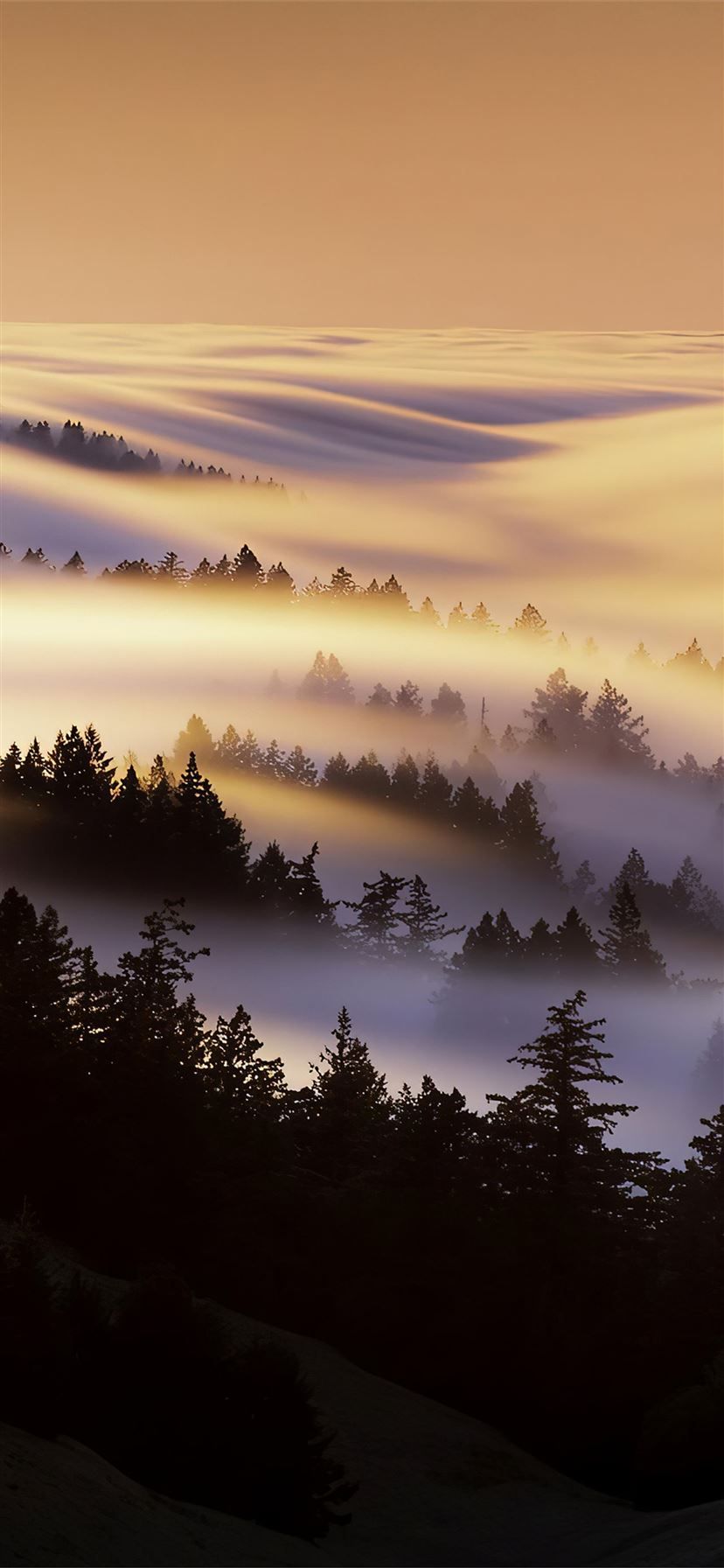 828x1792 marin county mist morning 4k iPhone 11 Wallpaper Free Download