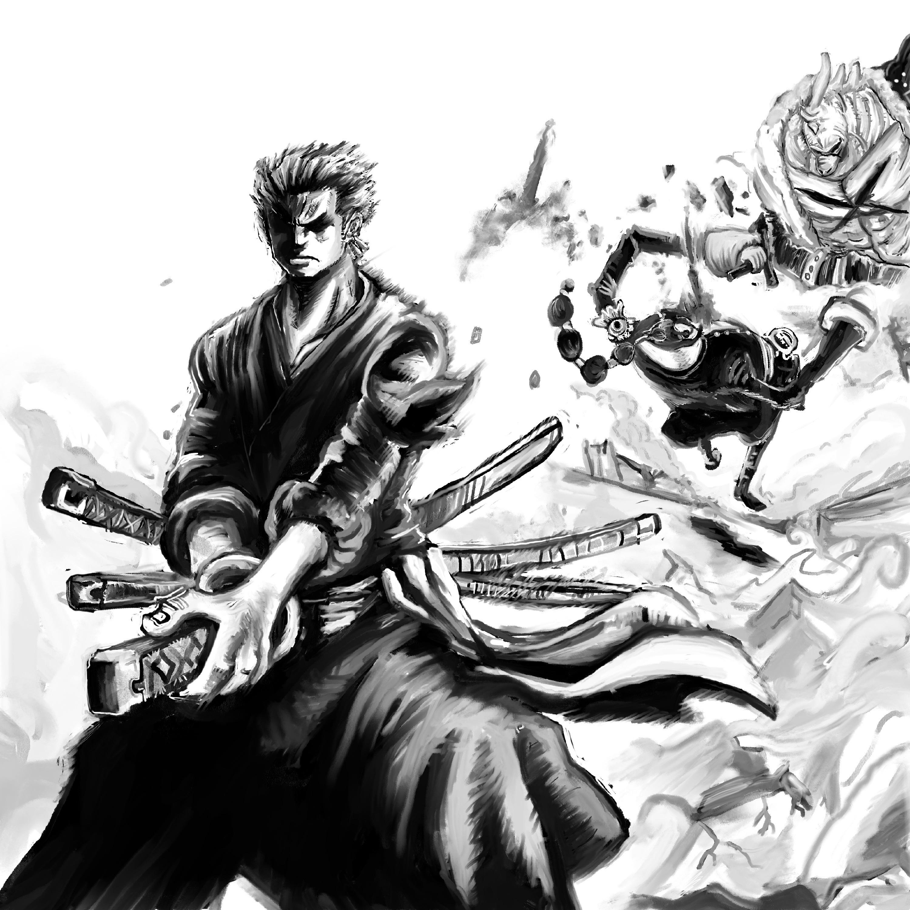 3000x3000 Zoro drops appo panel redraw