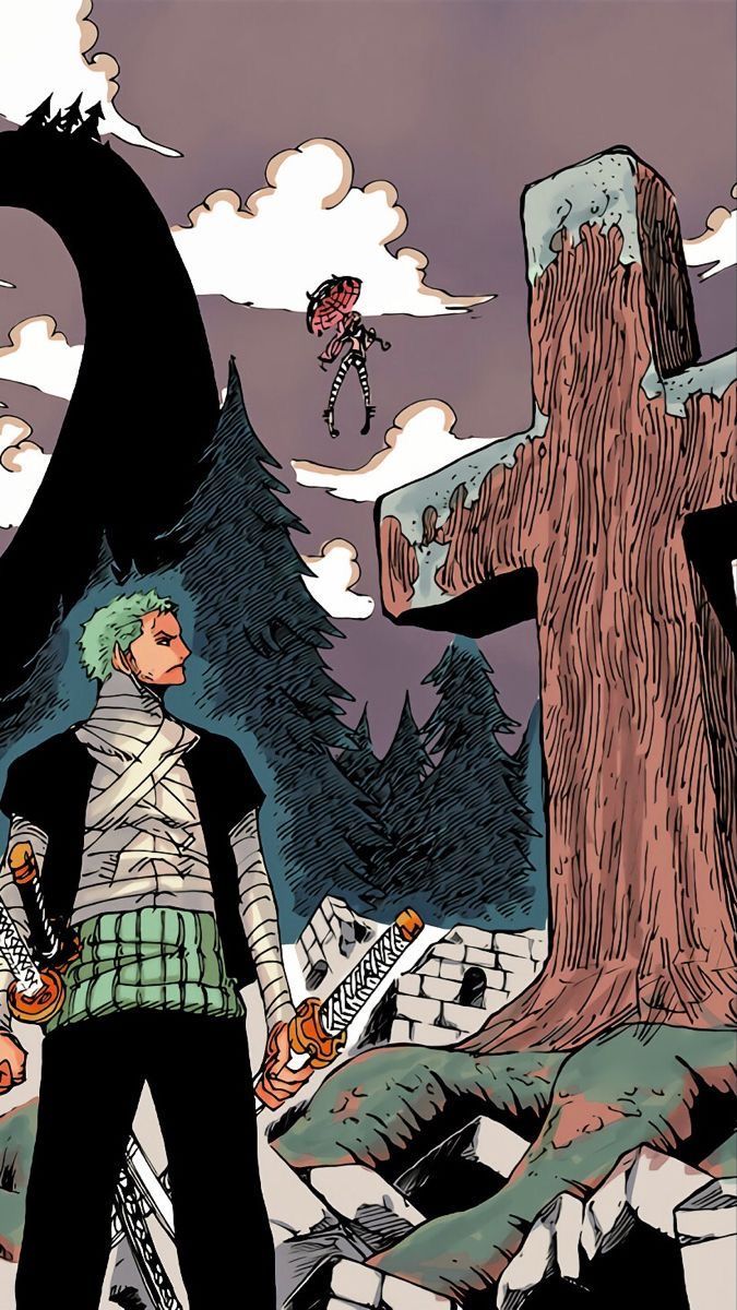 675x1200 Zoro one piece wallpaper manga. Zoro manga cover, One piece wallpaper iphone, The one piece