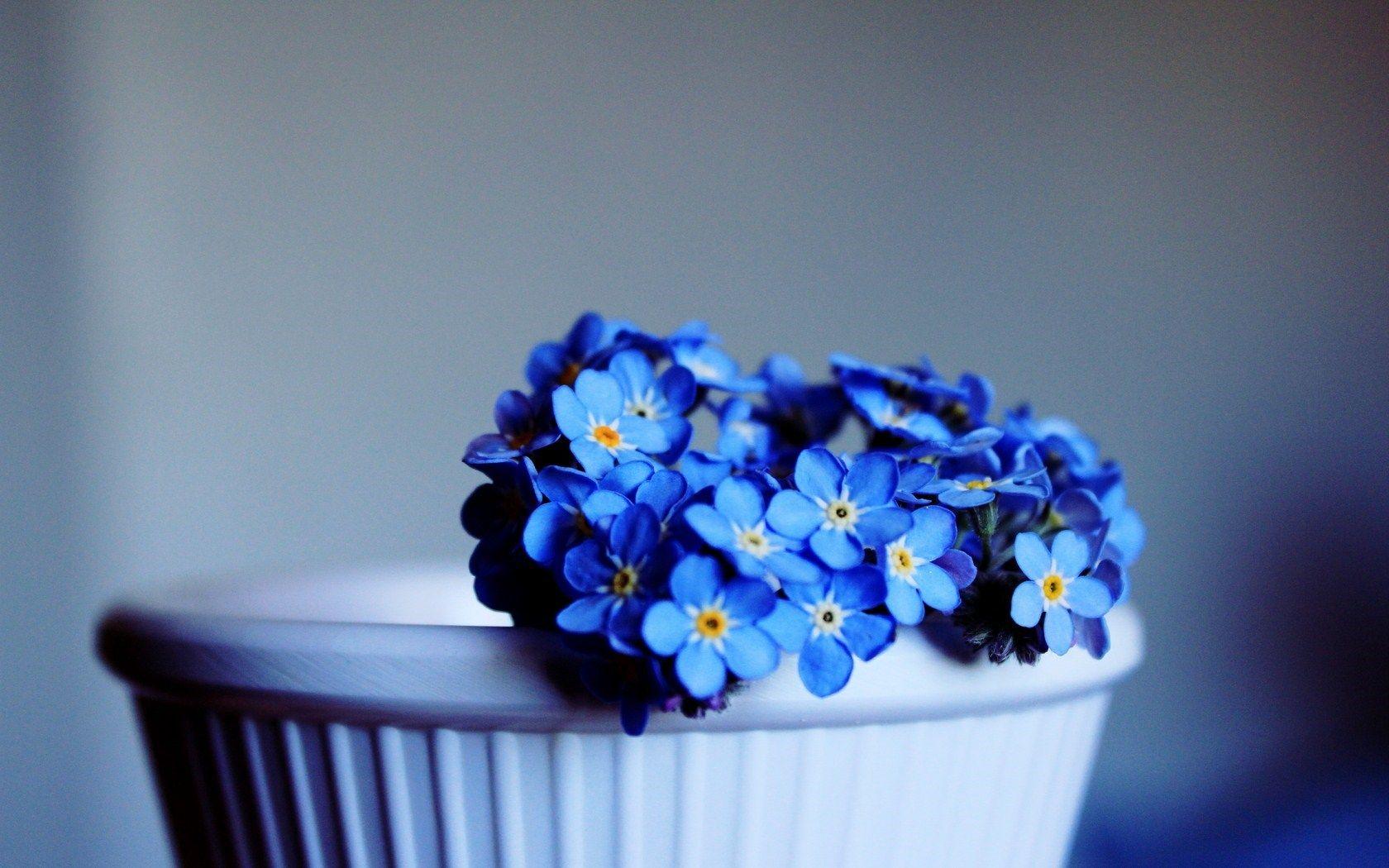 1680x1050 Hd Wallpaper Flower Blue