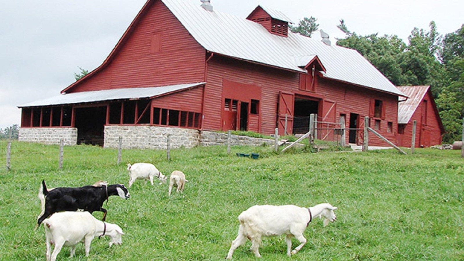 1600x900 Goat Barn (U.S. National Park Service)