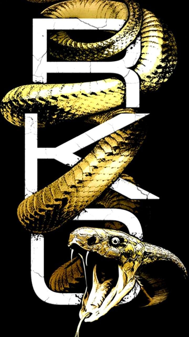 720x1280 Randy Orton RKO Outta Nowhere. Goat logo, Rko logo, Wwe logos