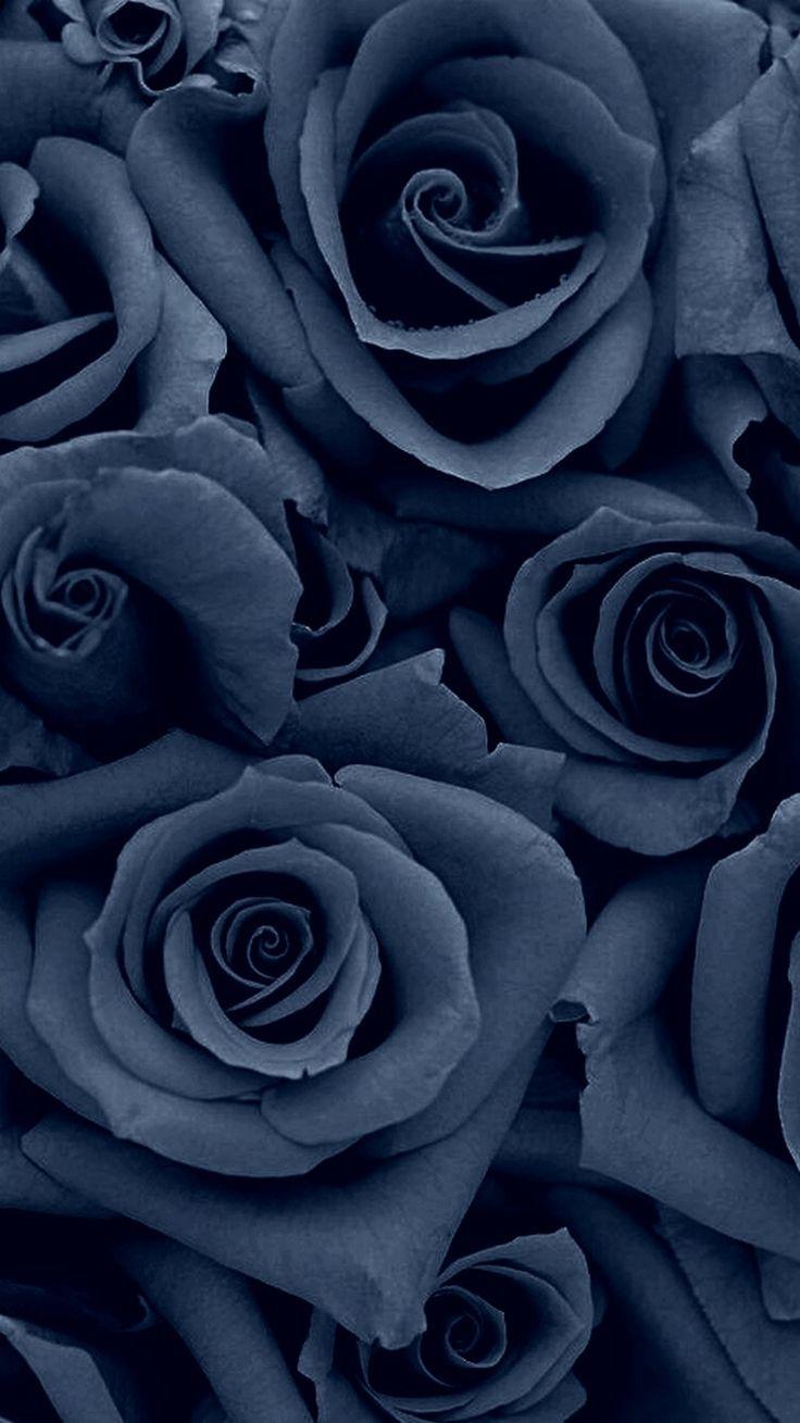 736x1309 Denim colored Rose Denim colored Rose The post Denim colored Rose appeared first on Ideas Flowers. Rose wallpaper, Floral wallpaper, Flower phone wallpaper