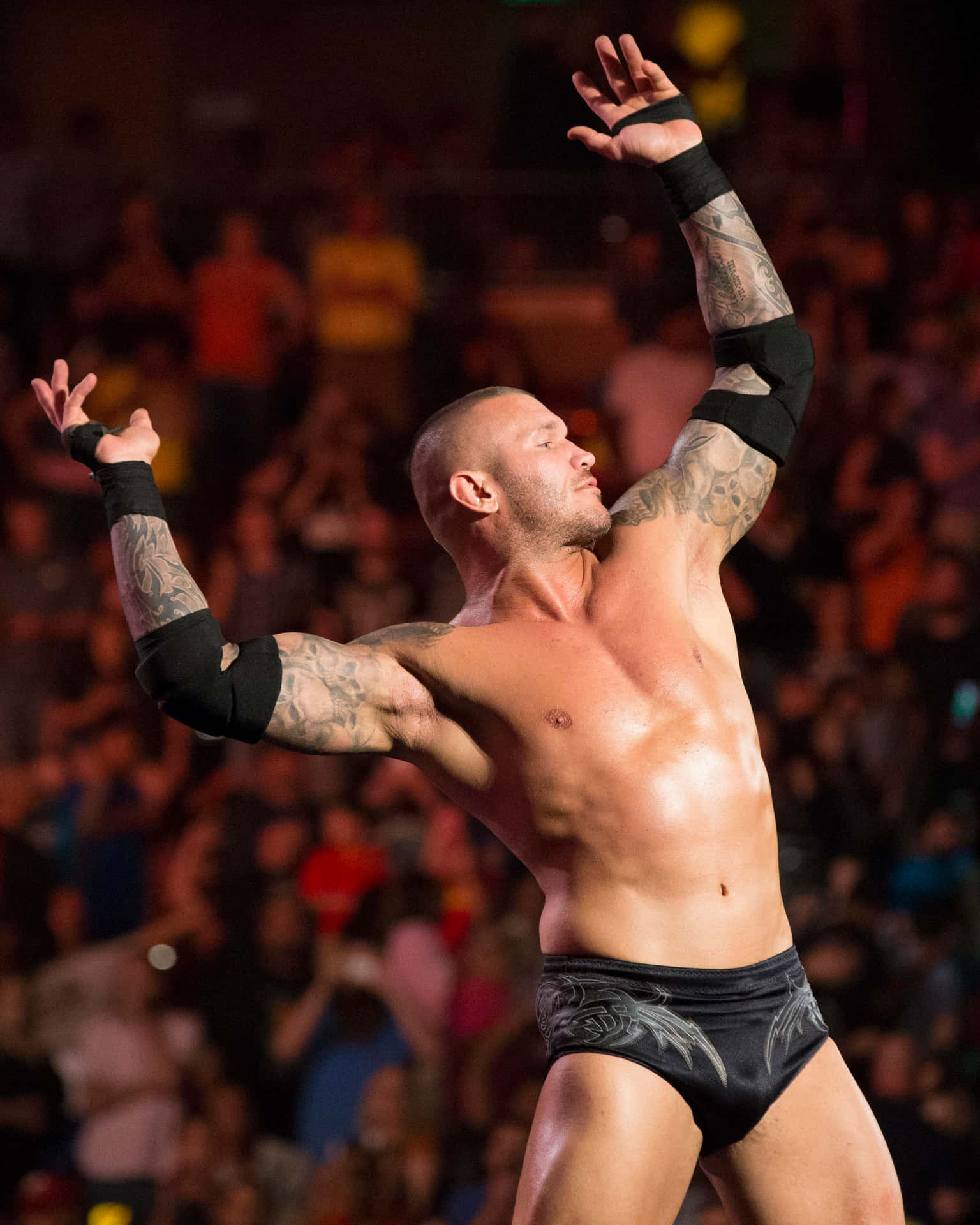 1536x1920 Randy orton Wallpaper