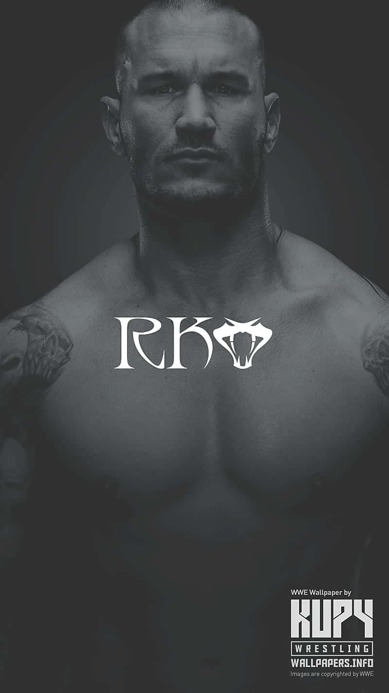 800x1423 Download rbo