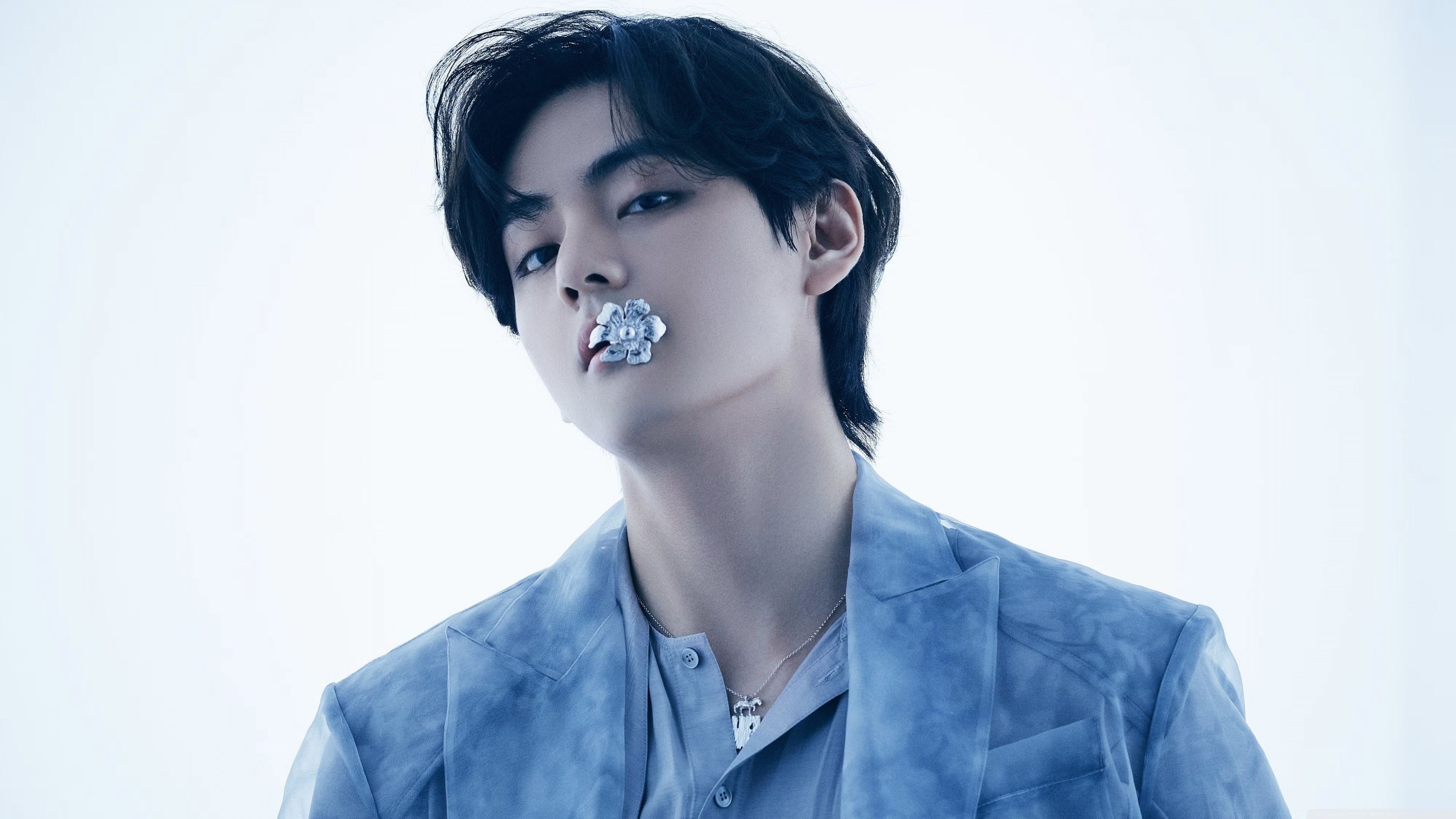 3840x2160 BTS V Kim Taehyung Singer 4K UHD Wallpaper for UltraHD Desktop and TV : Widescreen and UltraWide Display : Dual Monitor : Smartphone and Tablet Devices