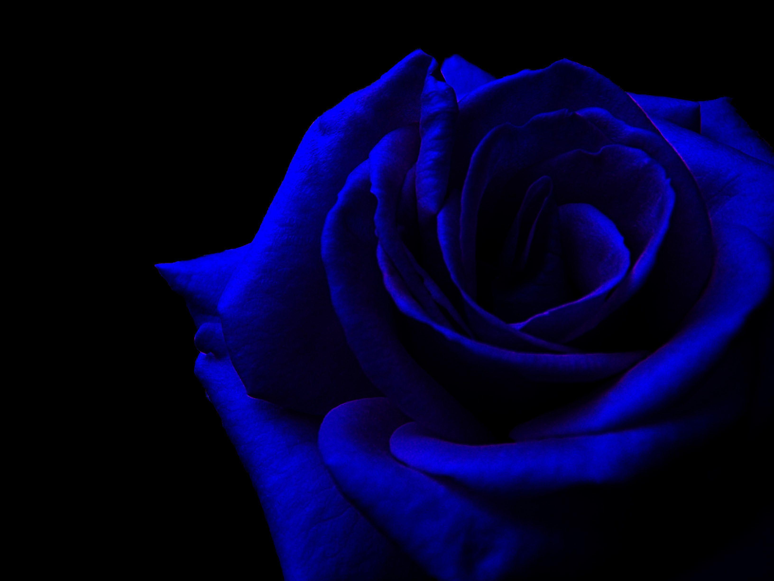 3264x2448 Black And Blue Wallpaper