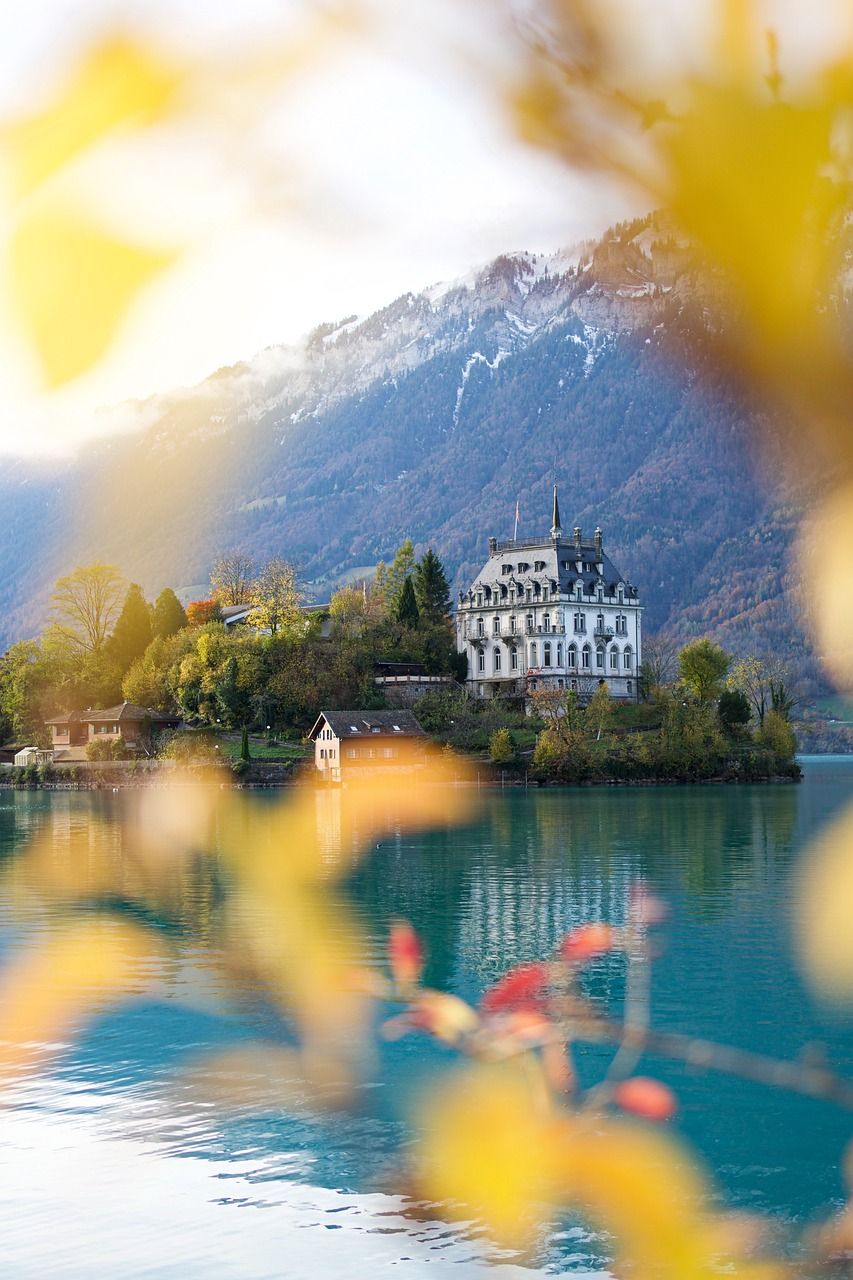 853x1280 Free Iseltwald & Switzerland Image