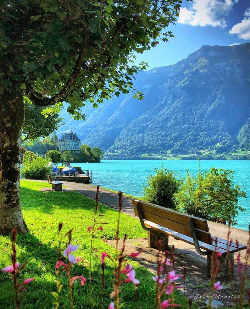 806x999 Iseltwald, Switzerland
