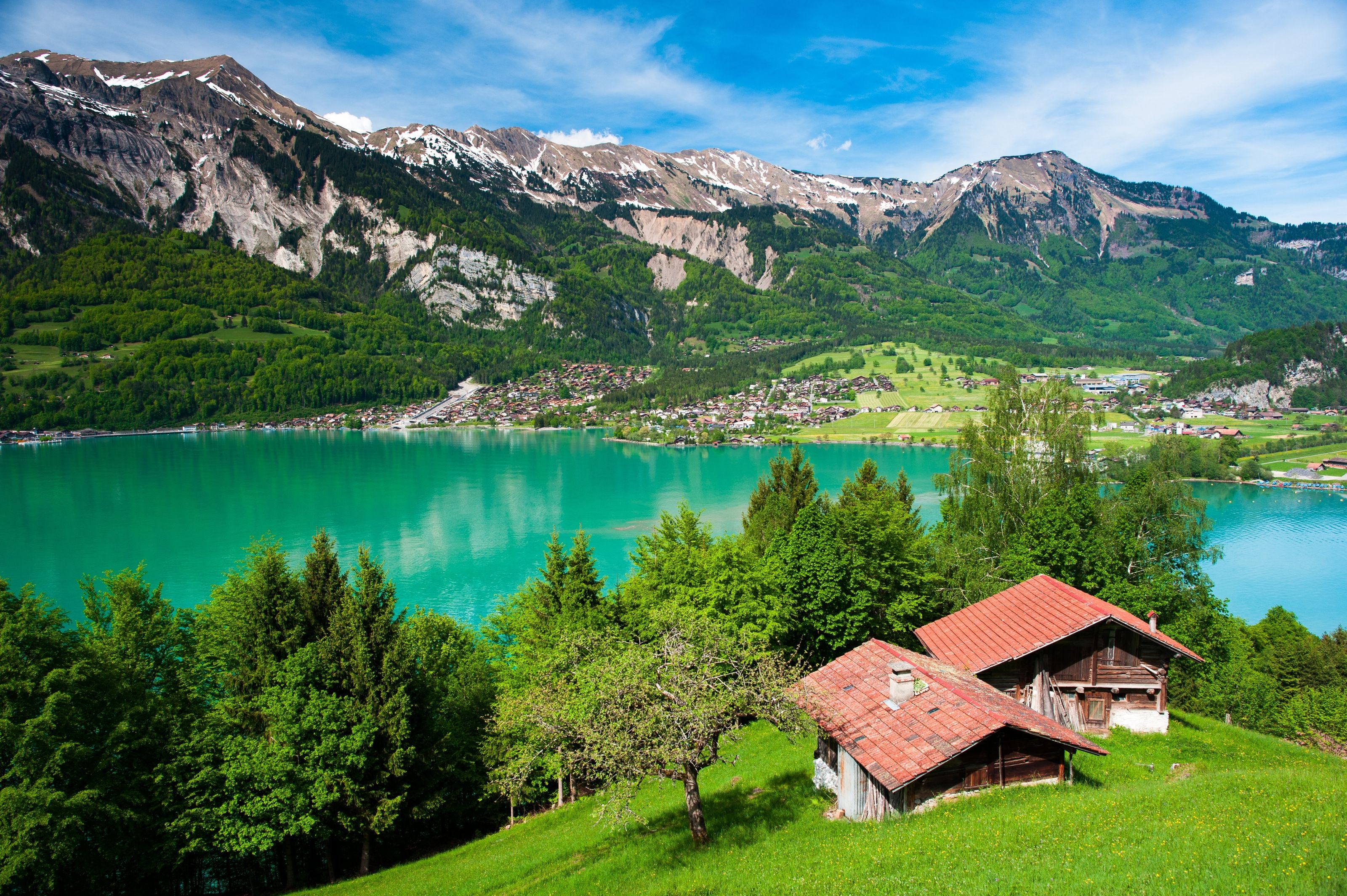3200x2129 Panorama of Lake Brienz Wall Mural