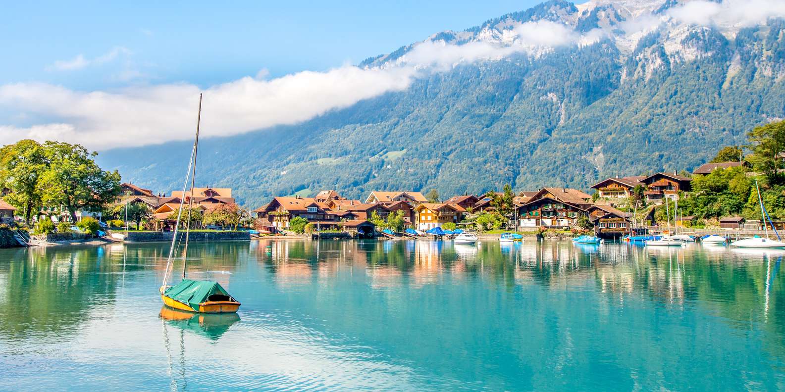 1585x792 Lake Brienz Tours & Activities