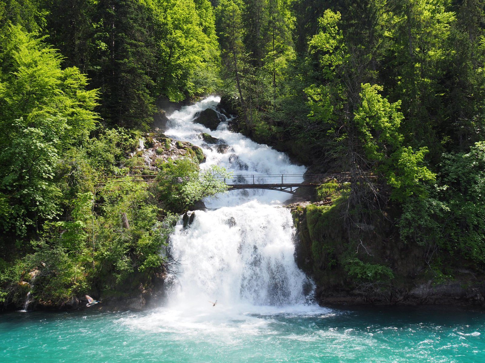 1600x1200 Lake Brienz: Blueprint for a Memorable Weekend (2024)