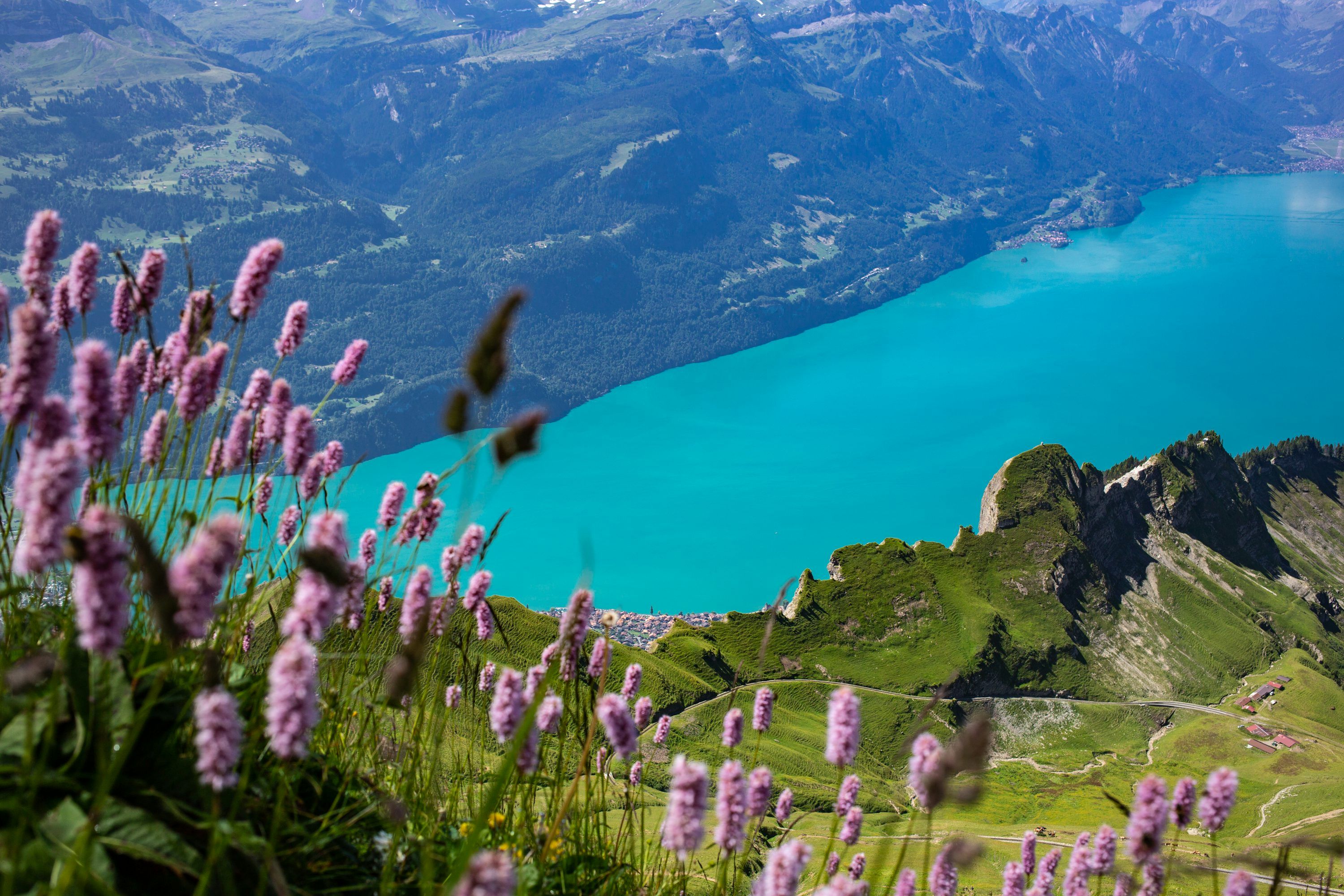 3000x2000 Lake Brienz Picture. Download Free Image