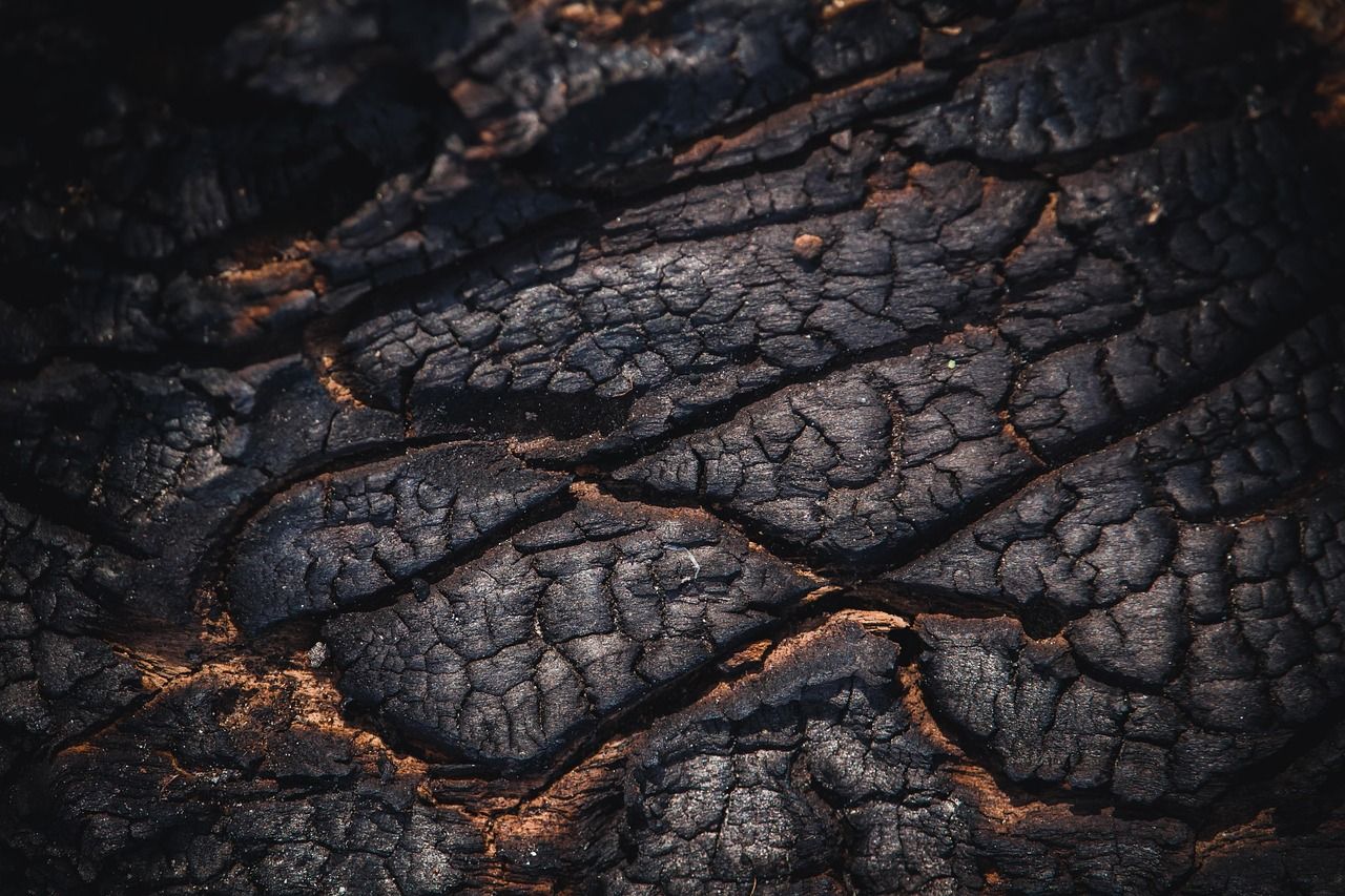 1280x853 Wood Burnt Texture