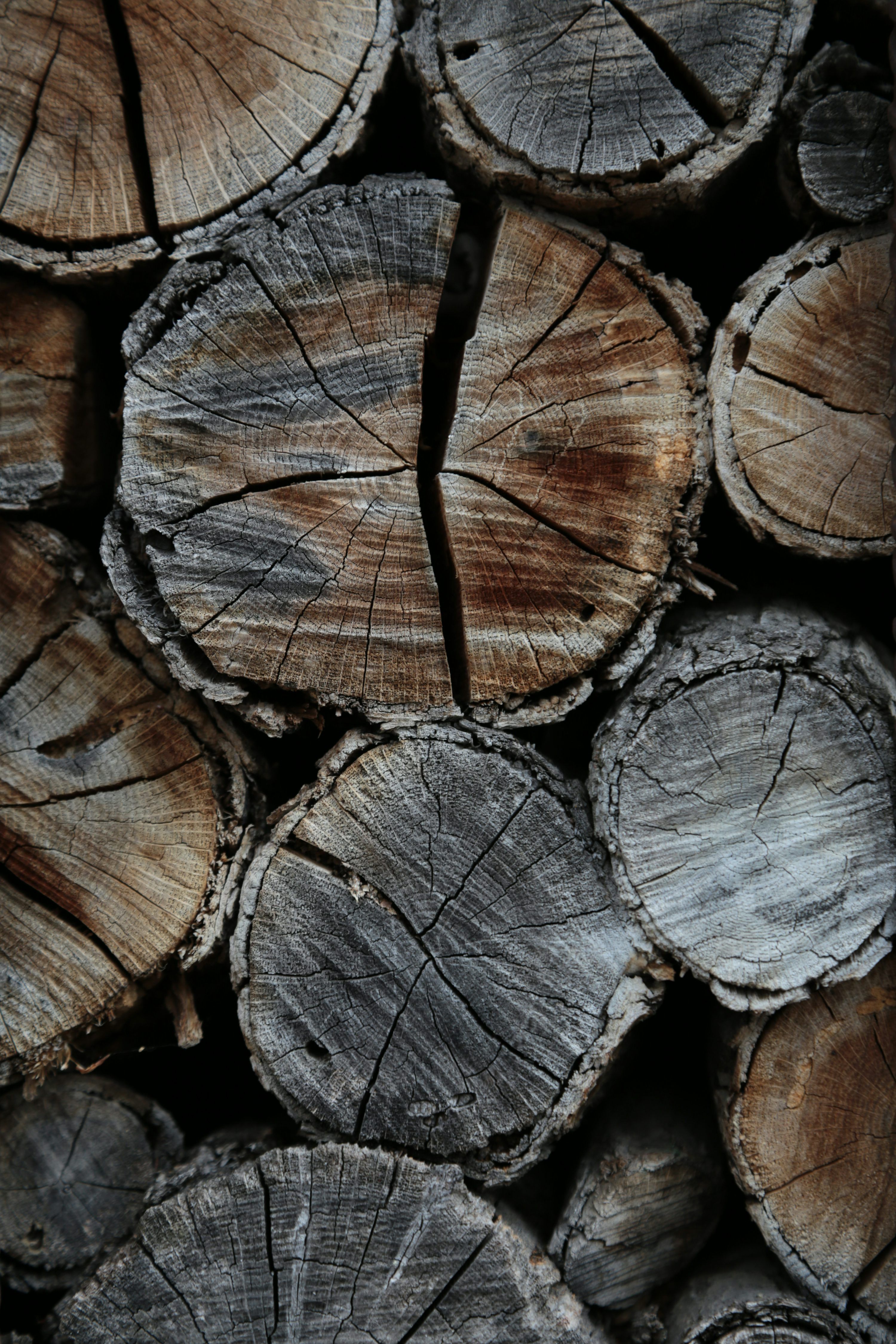 3000x4500 Burnt Wood Picture. Download Free Image