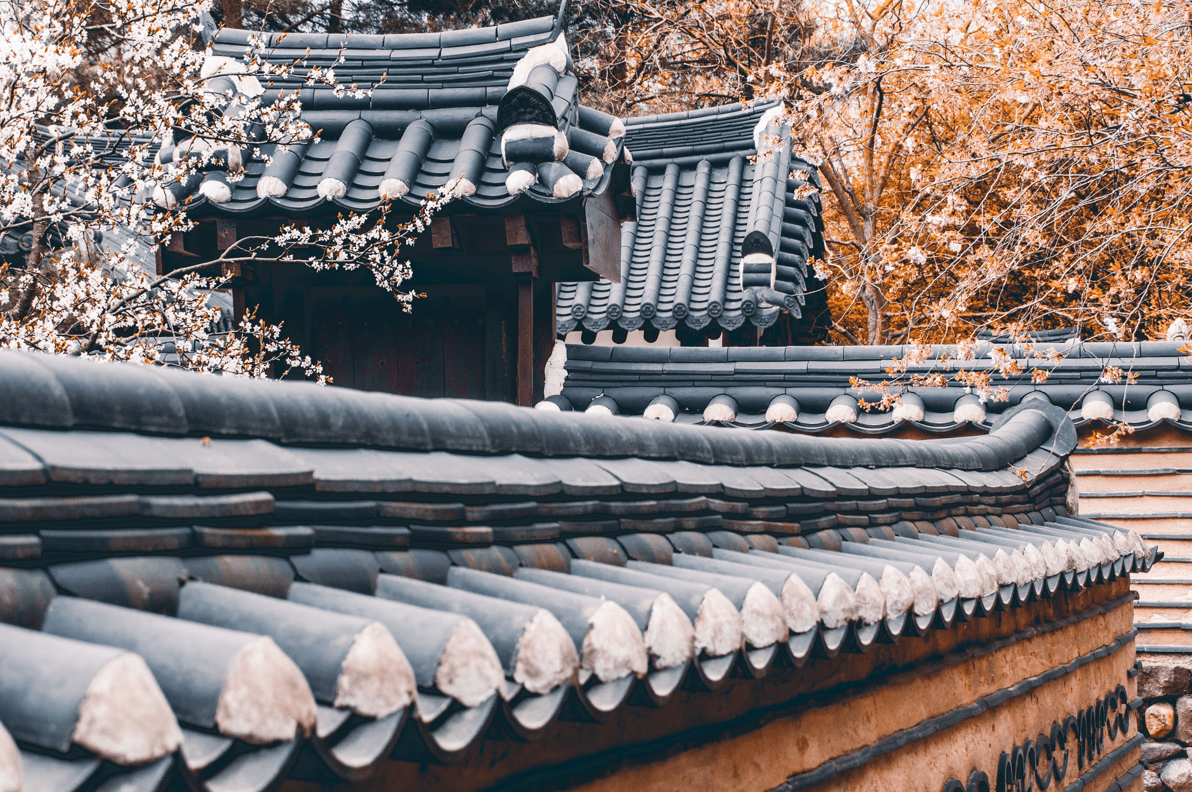 4119x2736 Roofs of Traditional Korean Houses in Bukchon Hanok Village · Free