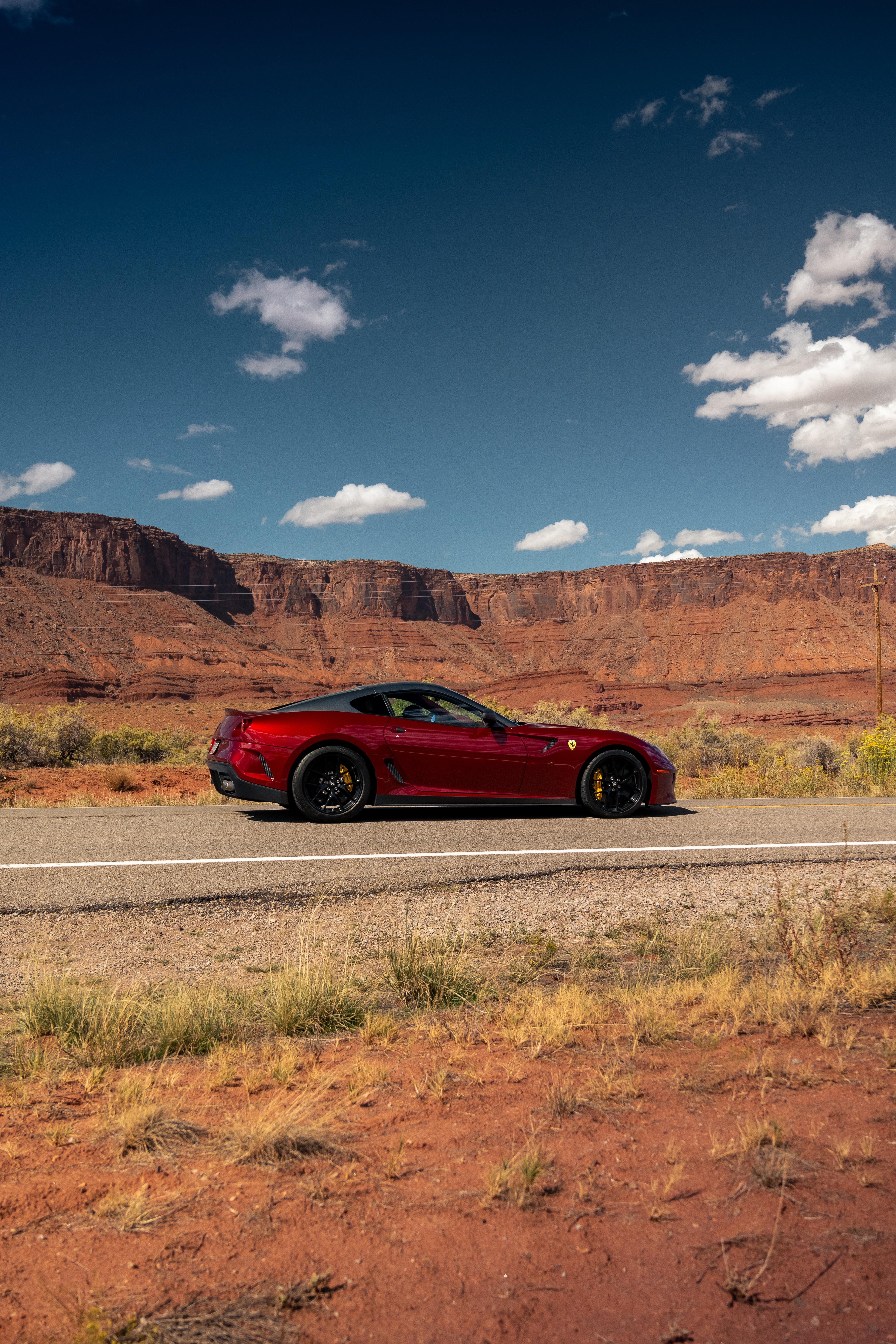 4743x7115 A Prancing horse in the desert