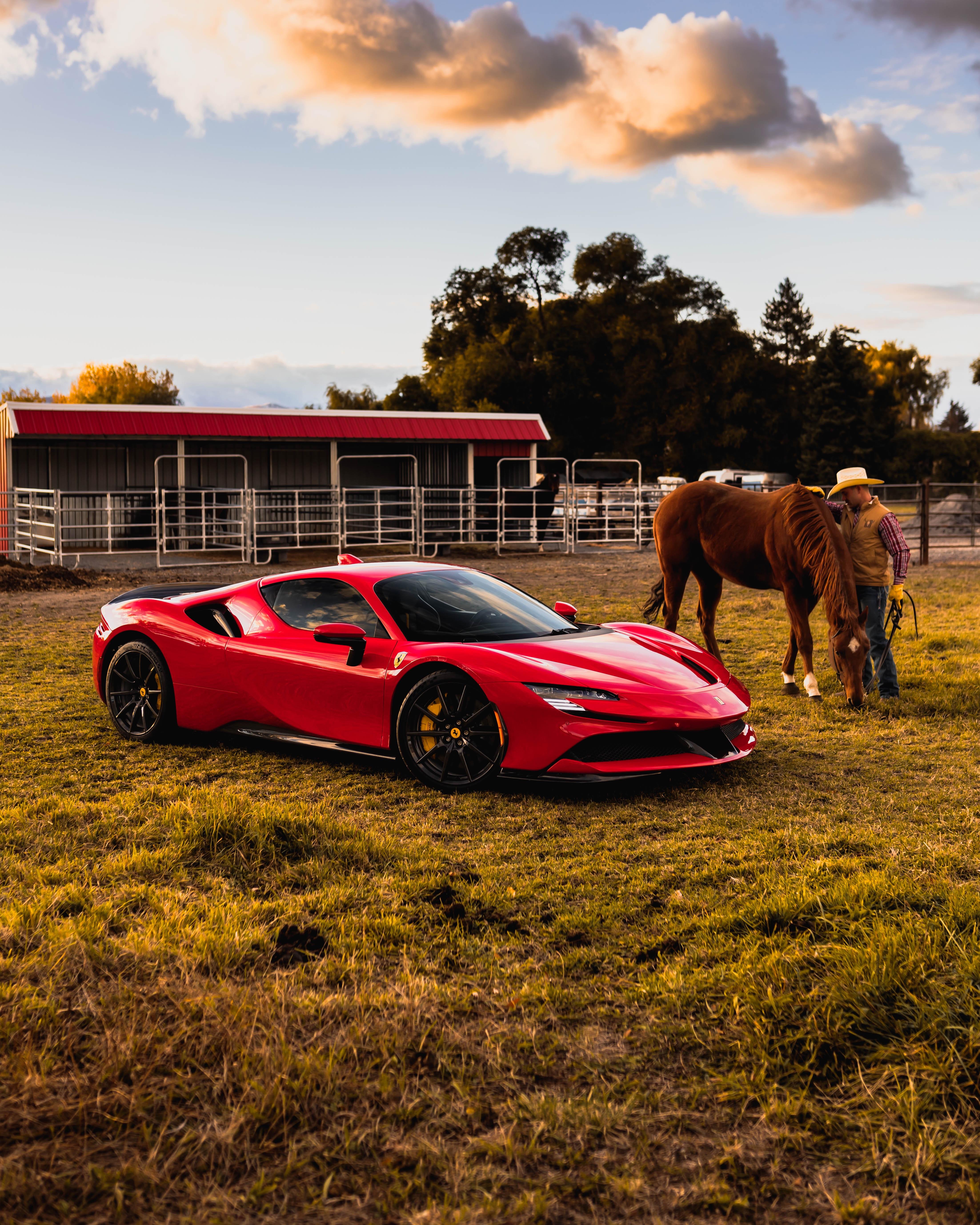 4409x5511 Just a man and his horses (OC)