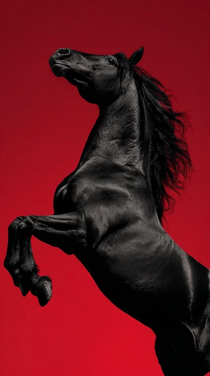 736x1313 Black horse on red background. Black horse wallpaper red background, Ferrari horse wallpaper, Red and