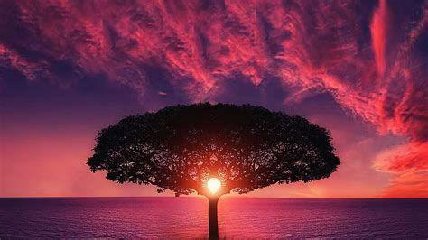 474x266 Purple Sky Desktop Wallpaper .