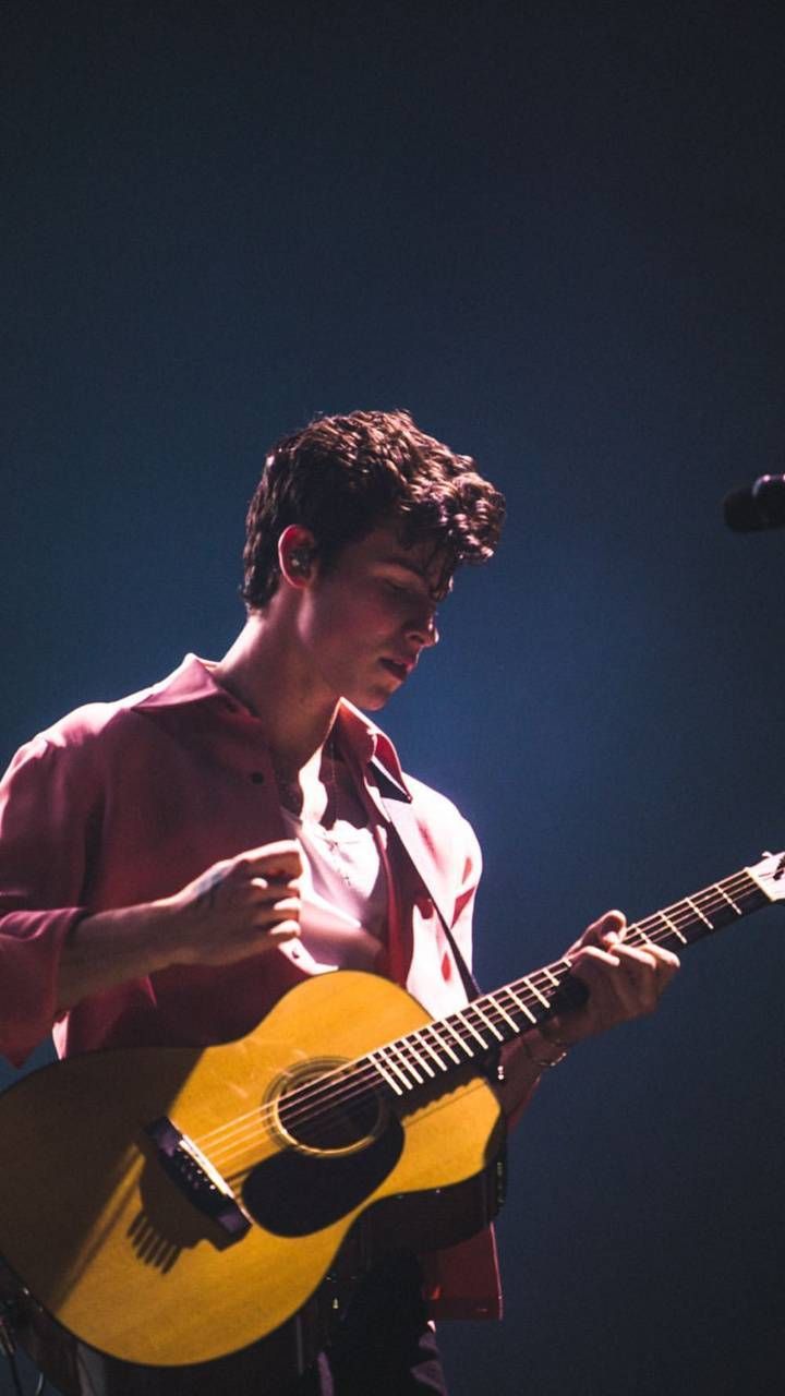 720x1280 Shawn in concert wallpaper