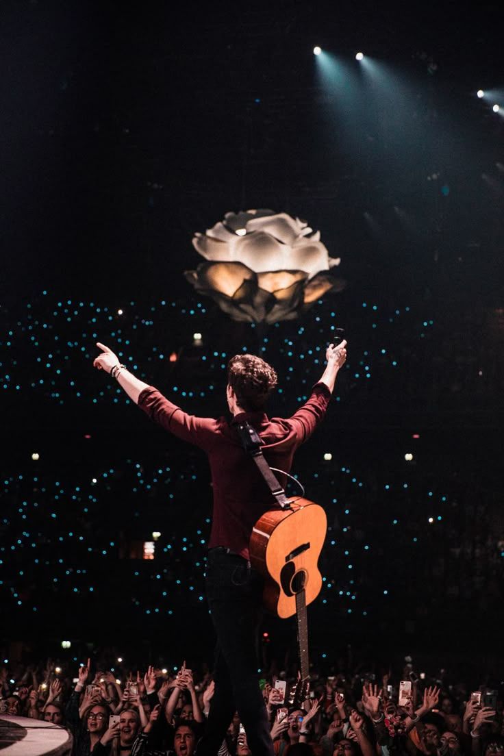 736x1104 Shawn Mendes Shares Photo From World Tour Opening Show: Exclusive