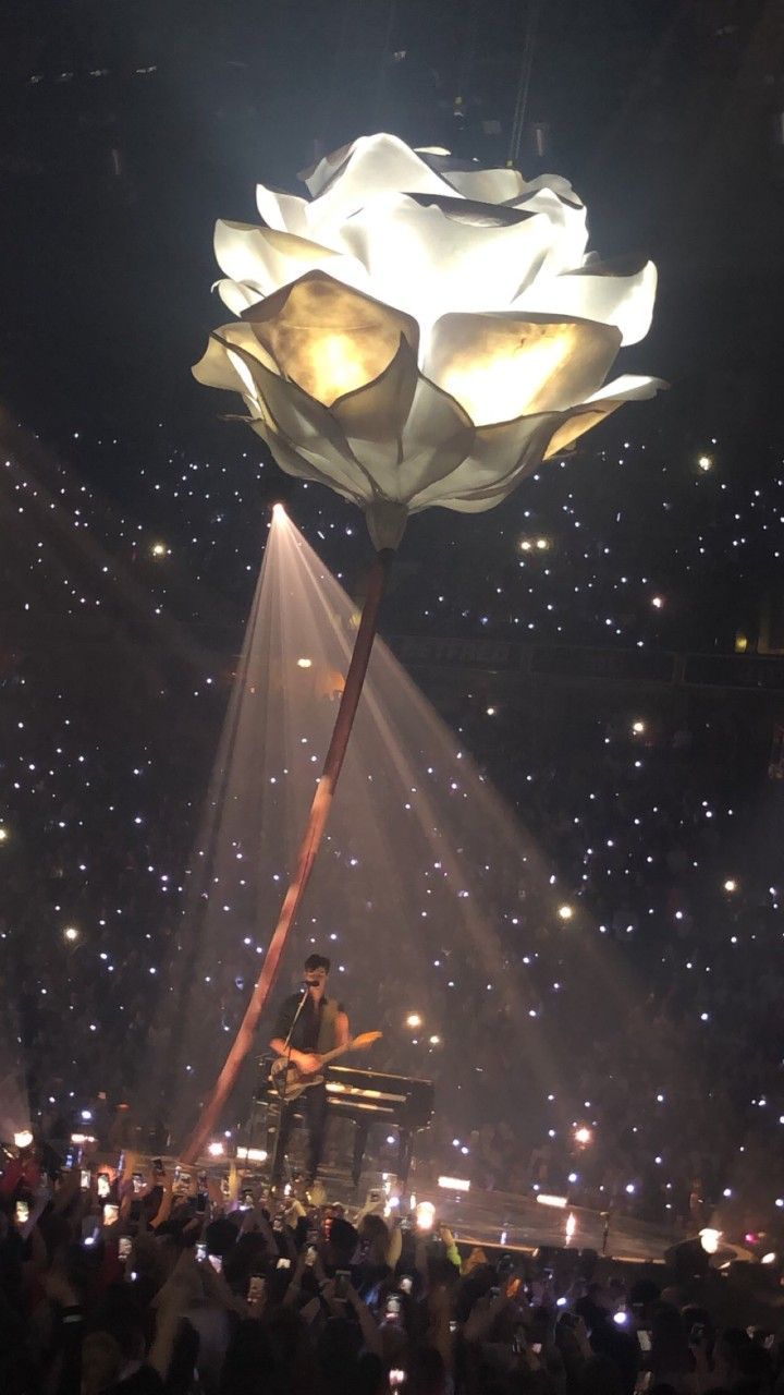 720x1280 Shawn Mendes: A White Flower on Stage. Shawn mendes aesthetic vintage, Shawn mendes pink aesthetic, Shawn mendes aesthetic wallpaper