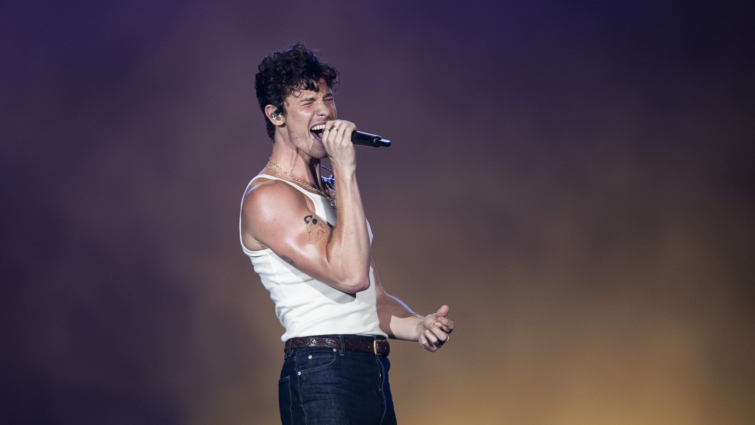 2560x1440 Shawn Mendes announces 'for friends and family only' show at Red Rocks