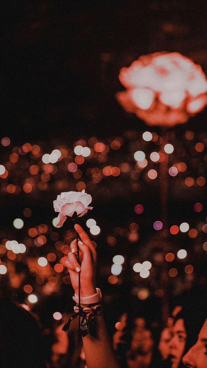 720x1280 wallpaper, rose and concert