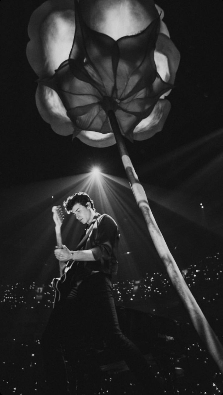 735x1301 Shawn mendes iphone wallpaper. Shawn mendes aesthetic poster, Shawn mendes background, Shawn mendes the tour