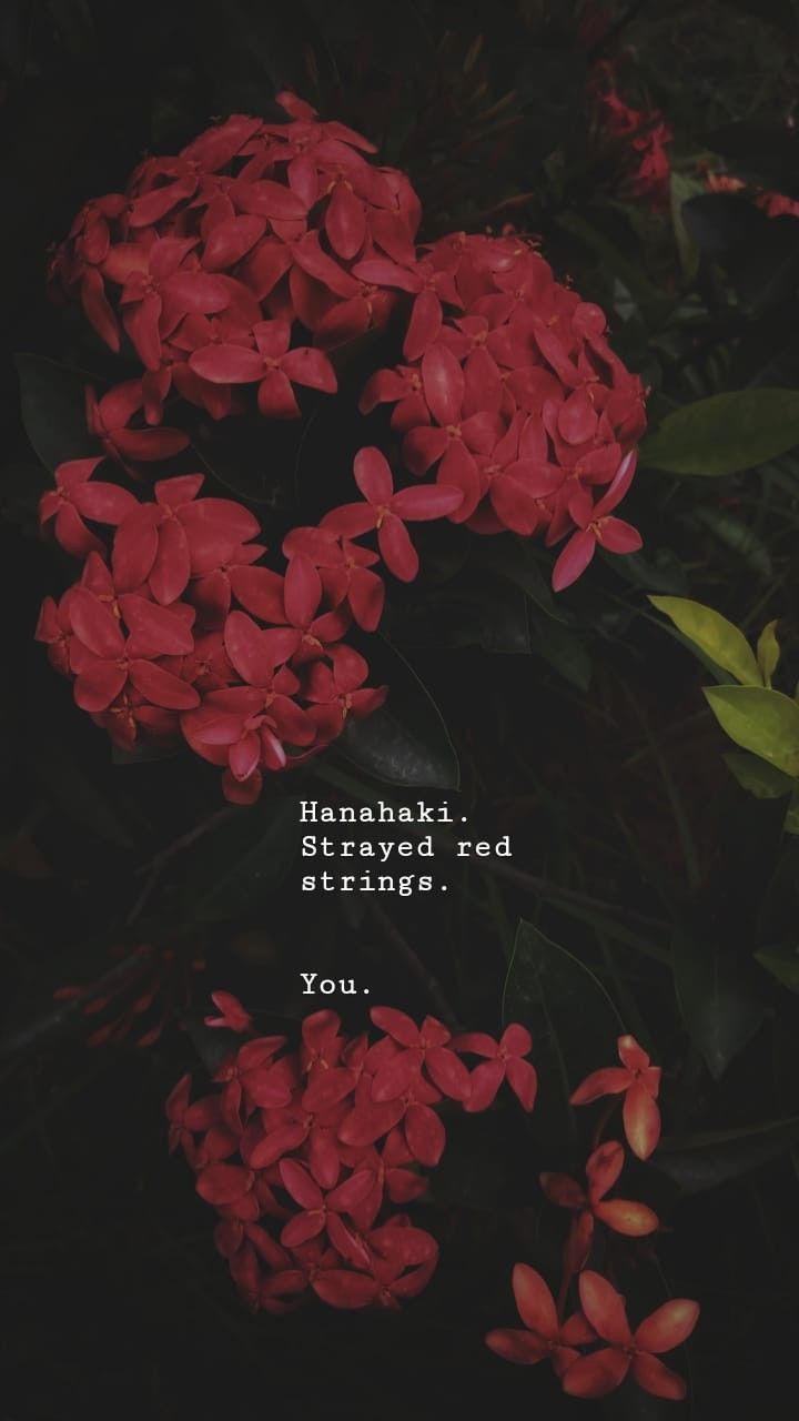 720x1280 Hanahaki Disease Wallpaper