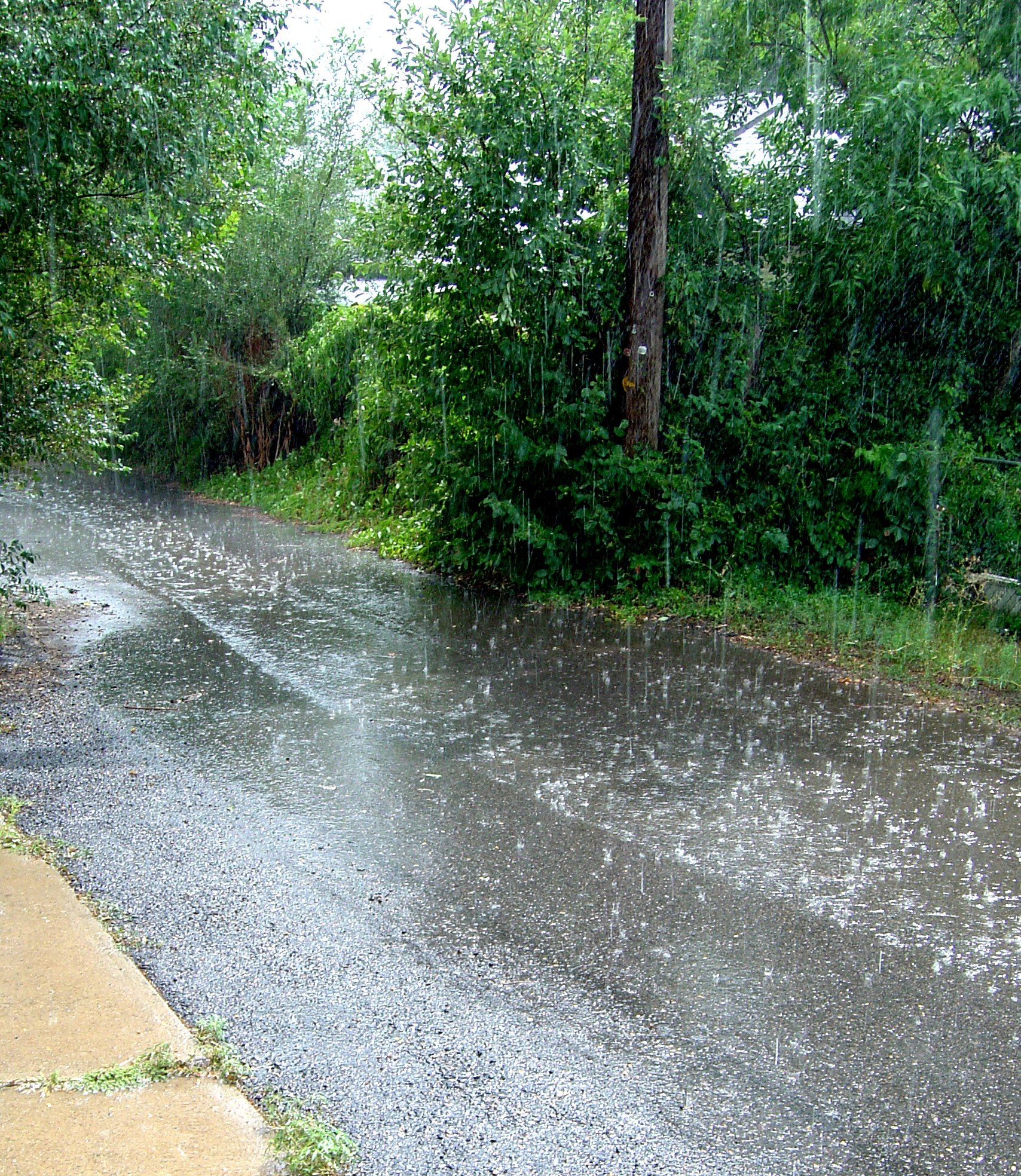1708x1968 Sunny Rain Shower