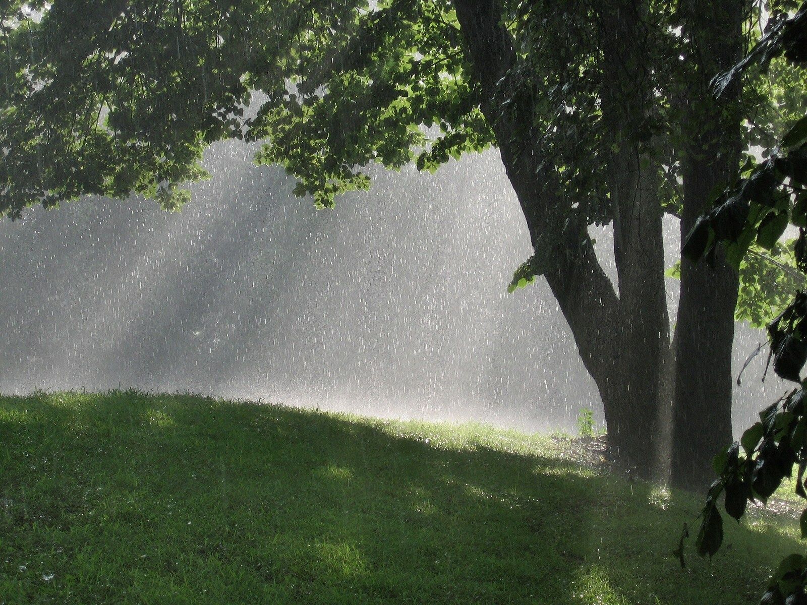 1600x1200 Breakdown: Why it sometimes rains when the sun is shining