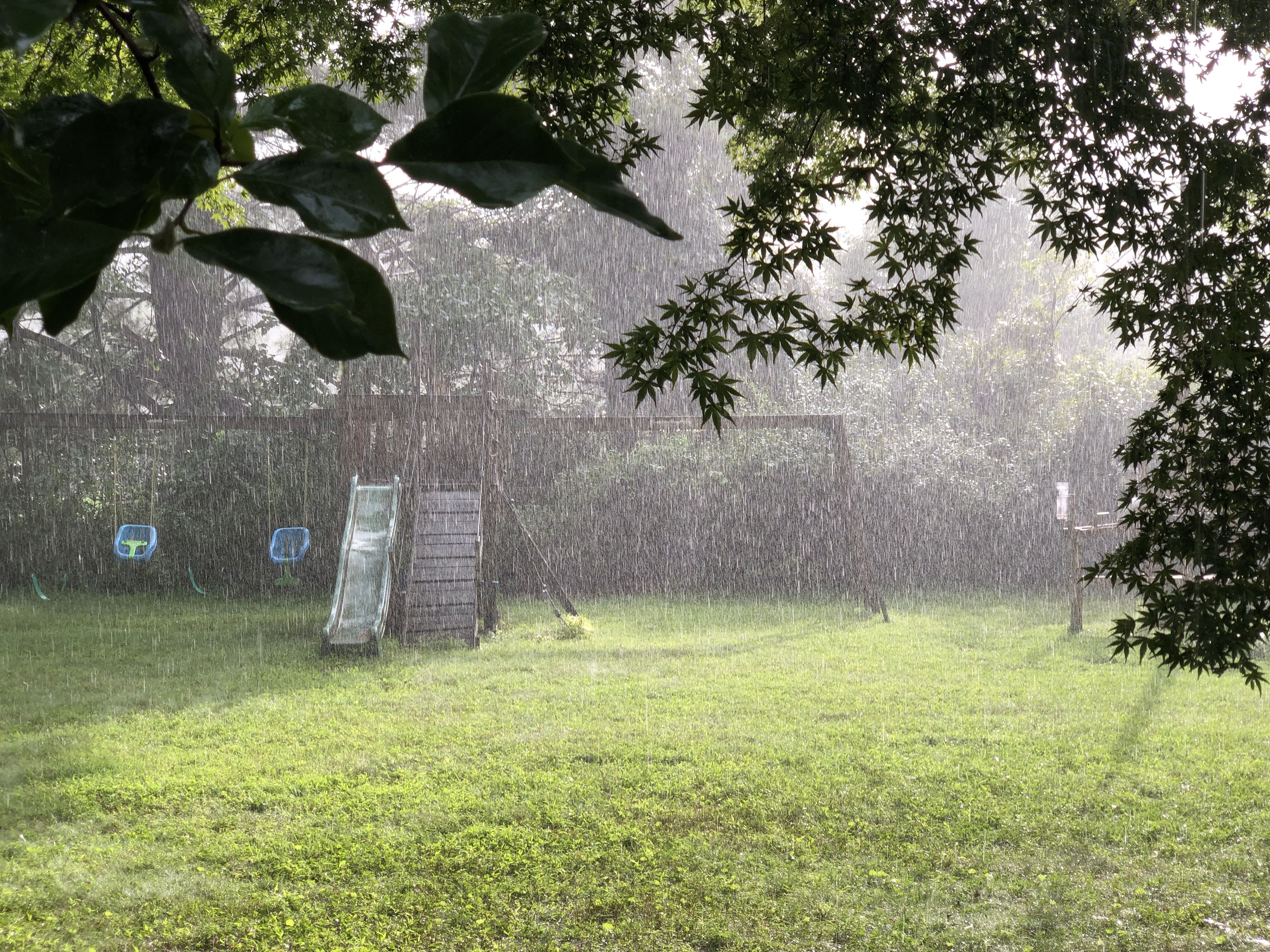 4032x3024 Sunshower