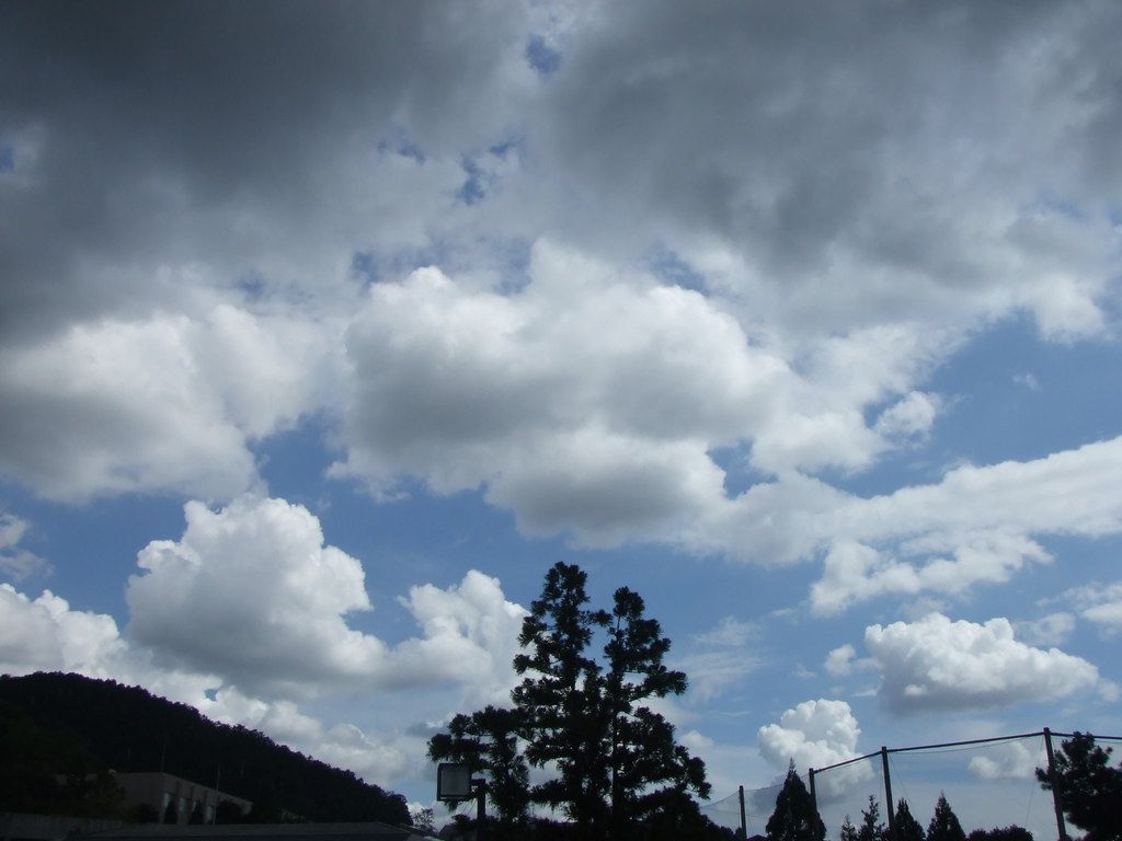 1024x768 rain and sunny