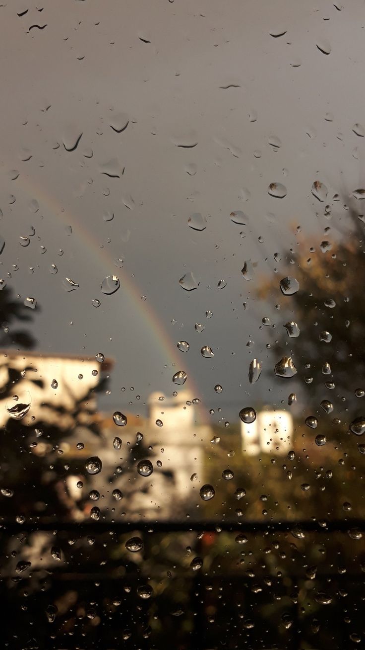 736x1308 Survive the Rain and Grow. Rainy wallpaper, I love rain, Rainy day aesthetic