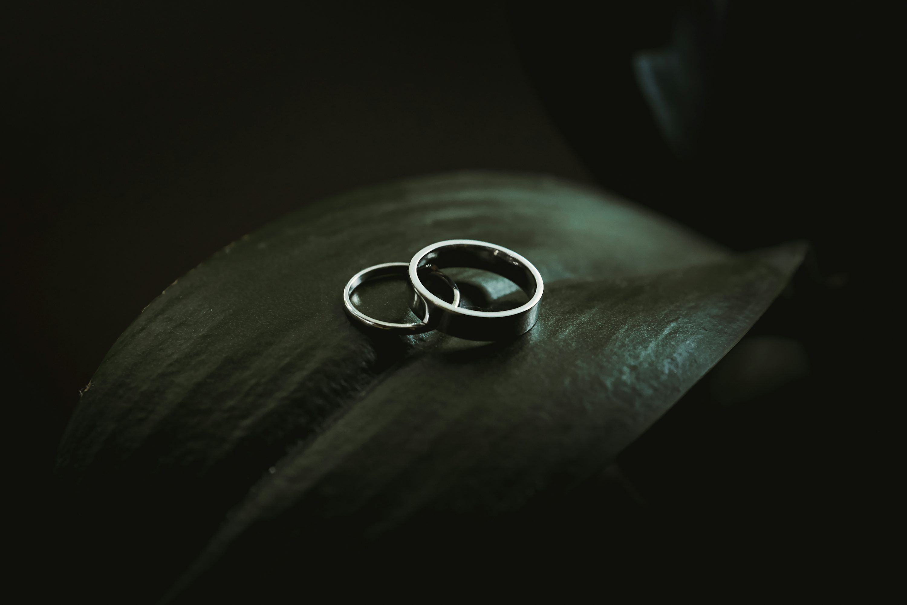 3000x2002 Silver Ring Picture. Download Free Image