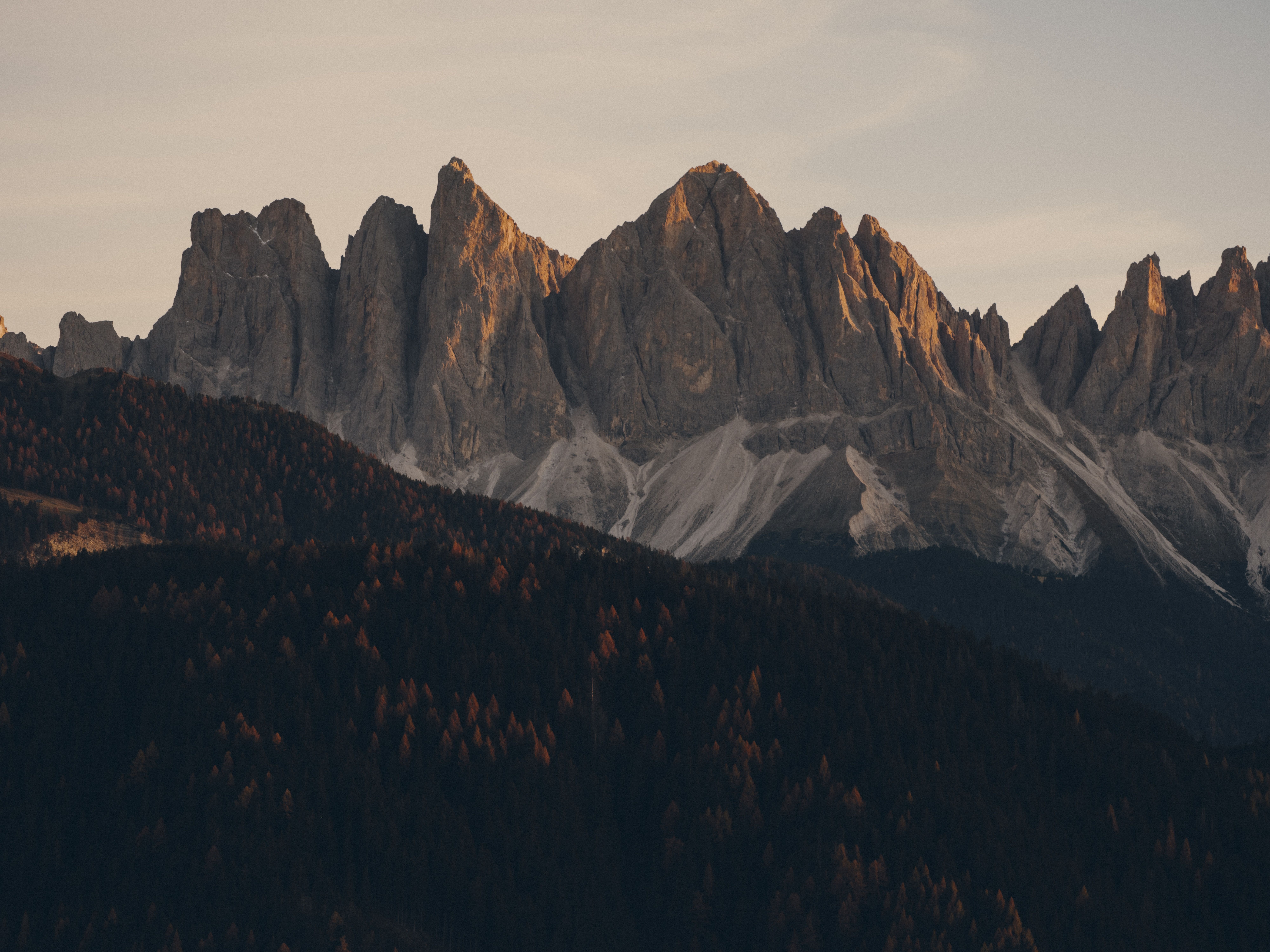 8000x6000 HD Bilder