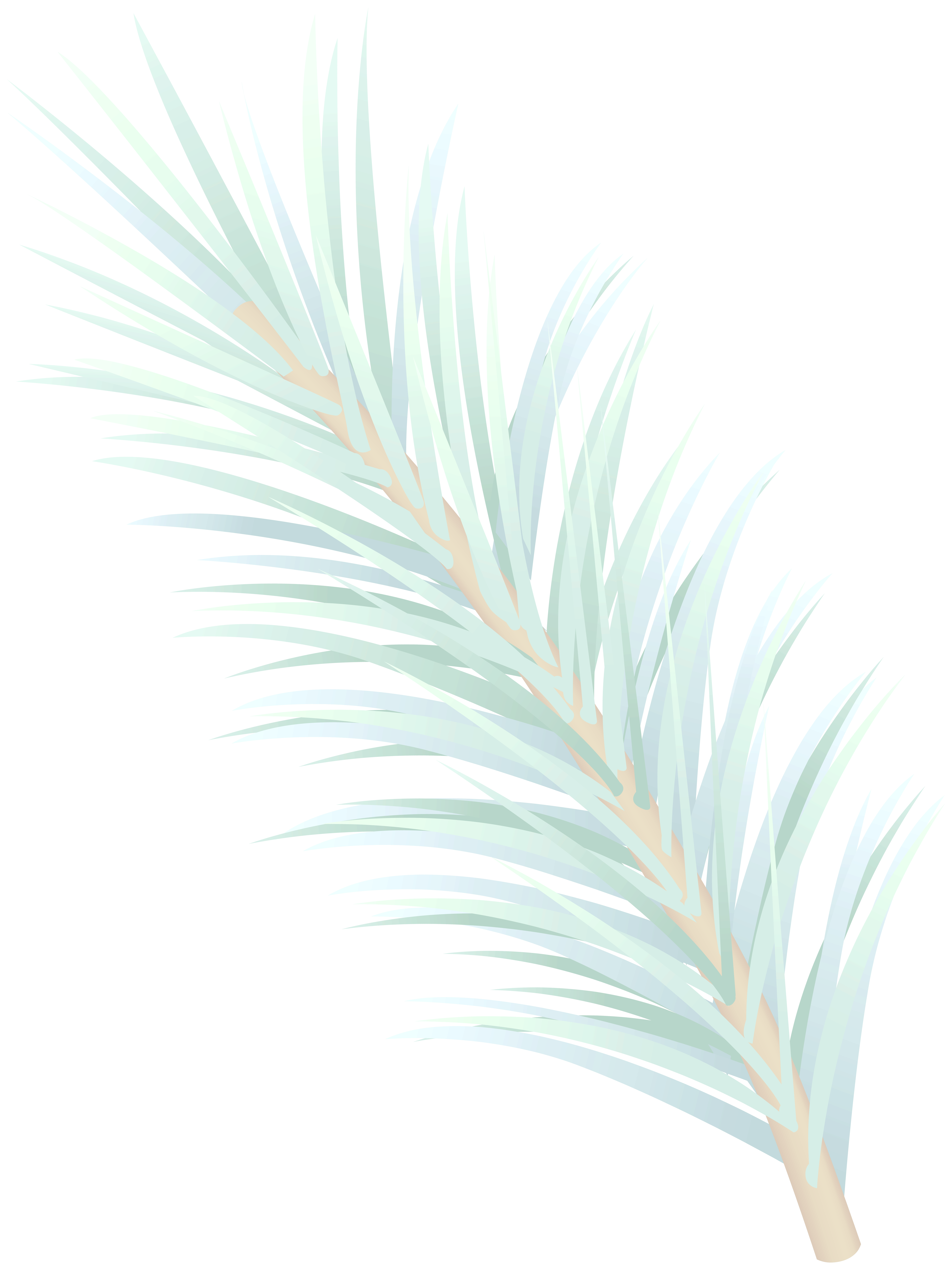 6000x8000 Winter Pine Branch Decor PNG Clipart​-Quality Free Image and Transparent PNG Clipart