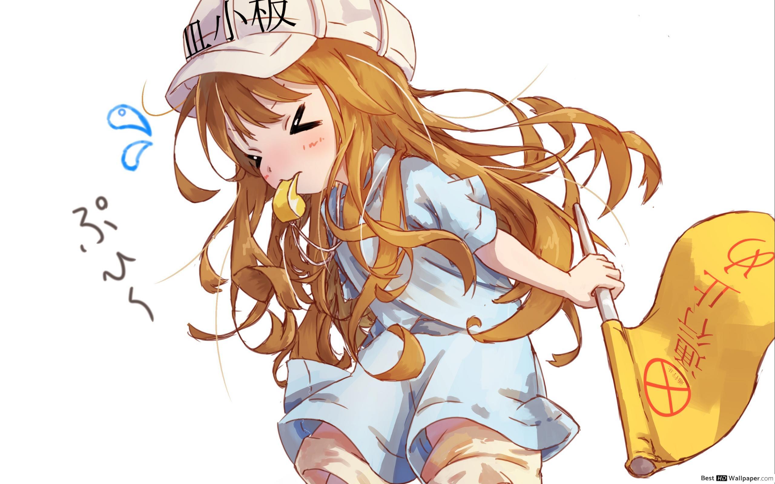 2560x1600 Platelets Wallpaper