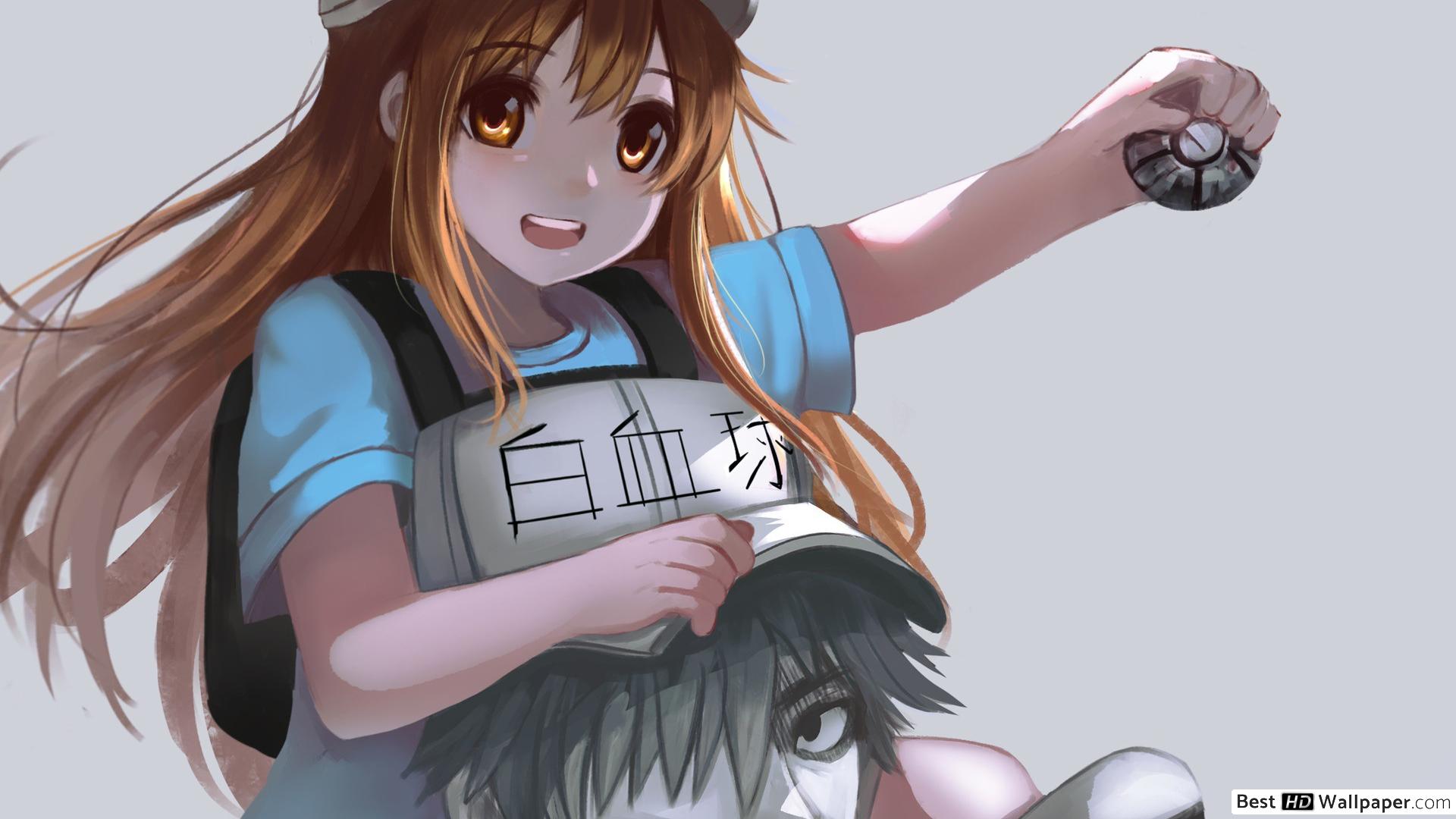 1920x1080 Platelets Wallpaper