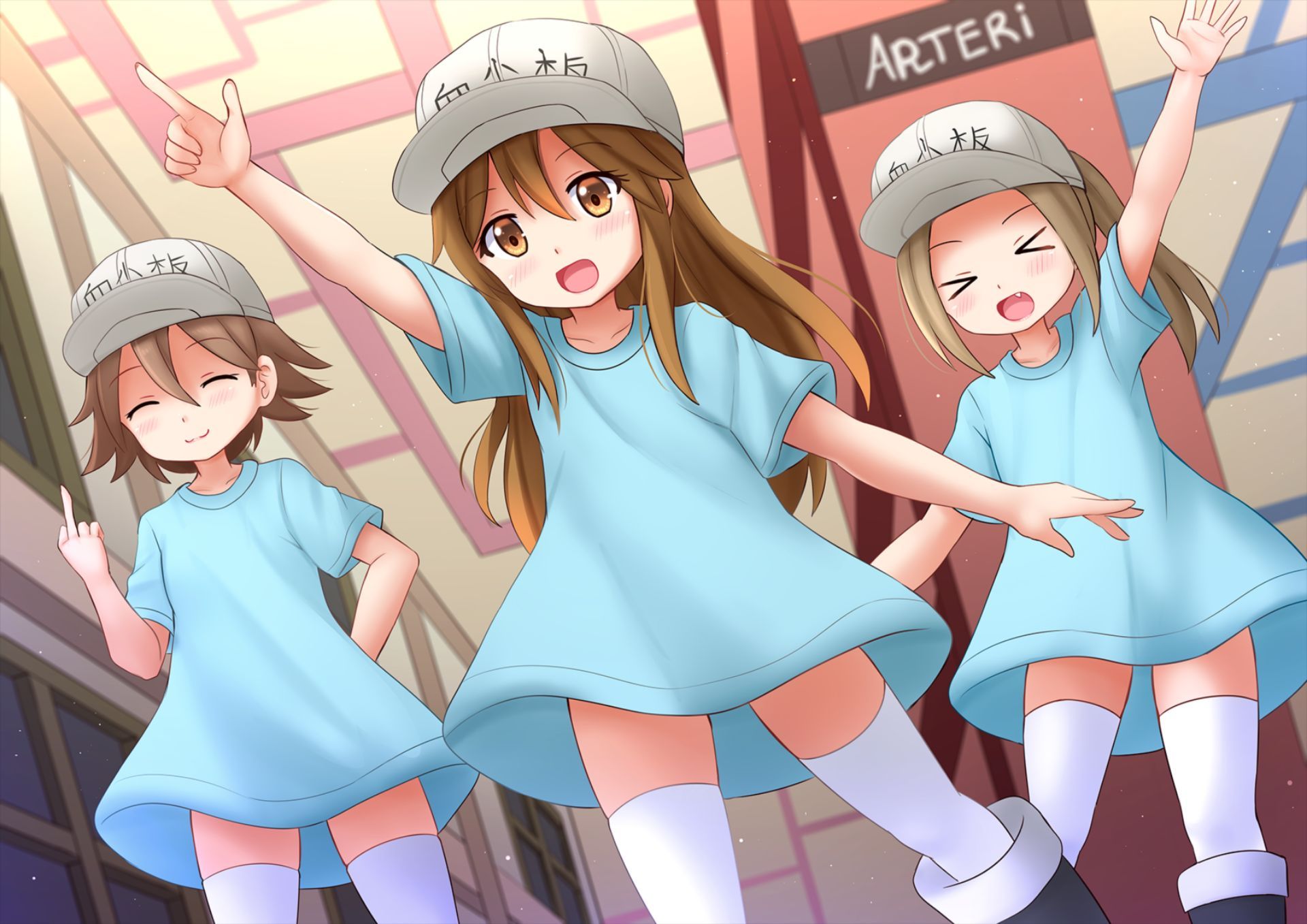 1920x1357 Platelet (Cells At Work!) Phone Wallpaper: Free 4K & HD Downloads