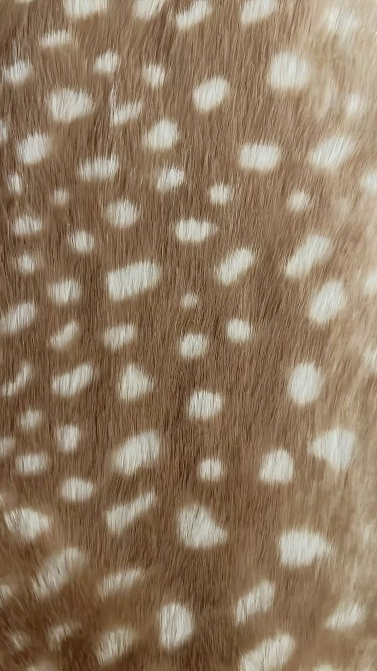 736x1308 Background image for editing. Bambi deer wallpaper, Fawn print background, Deer lock screen