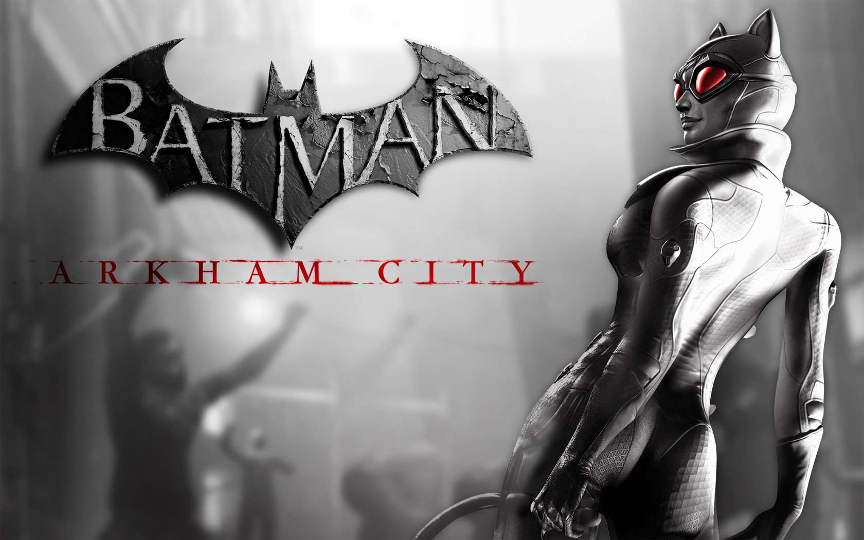 1680x1050 Action Batman: Arkham City Wallpaper Wallpaper Batman: Arkham City Wallpaper Background (1680 x 1050)